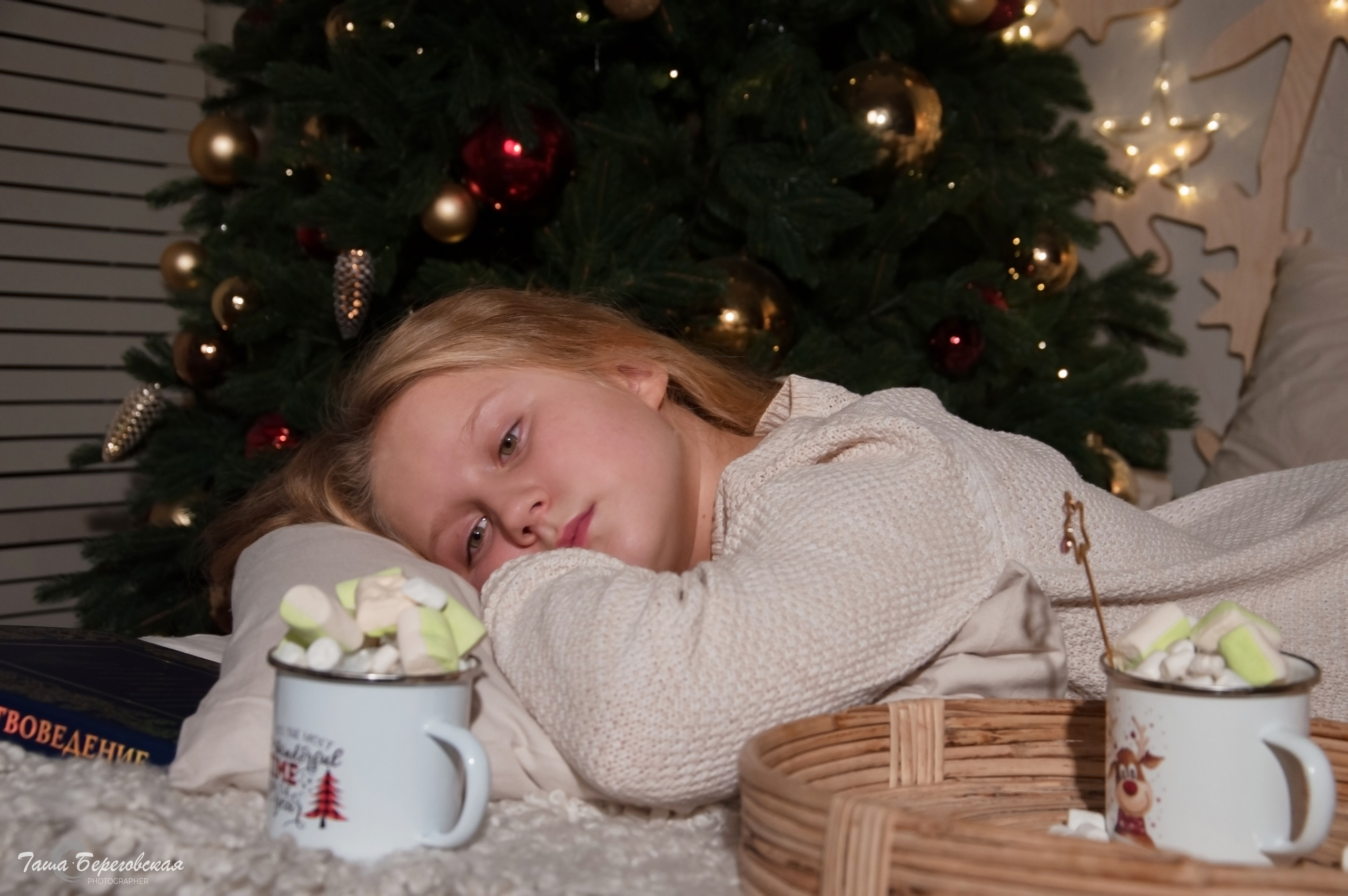 Новый год к нам мчится