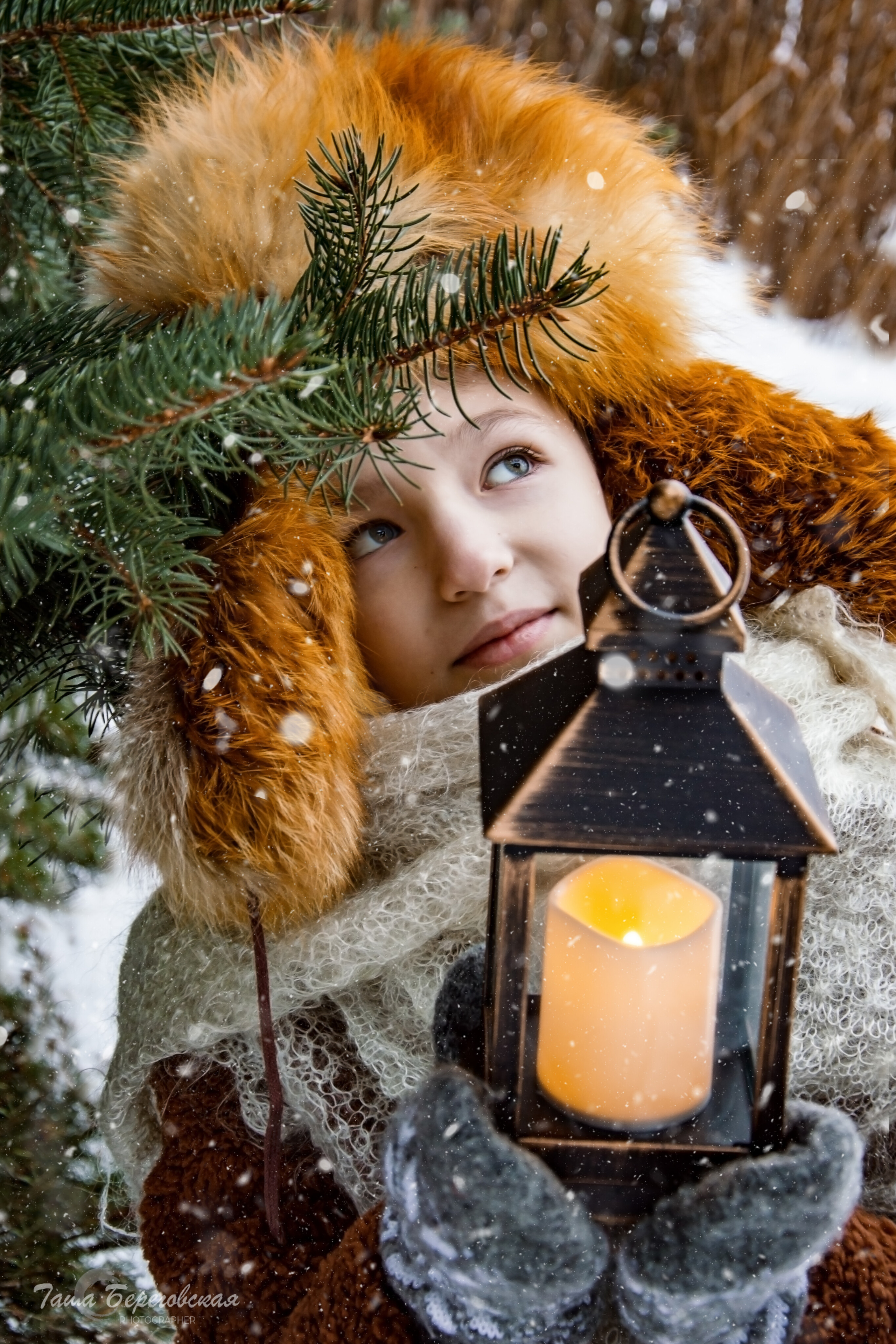 Зимняя сказка