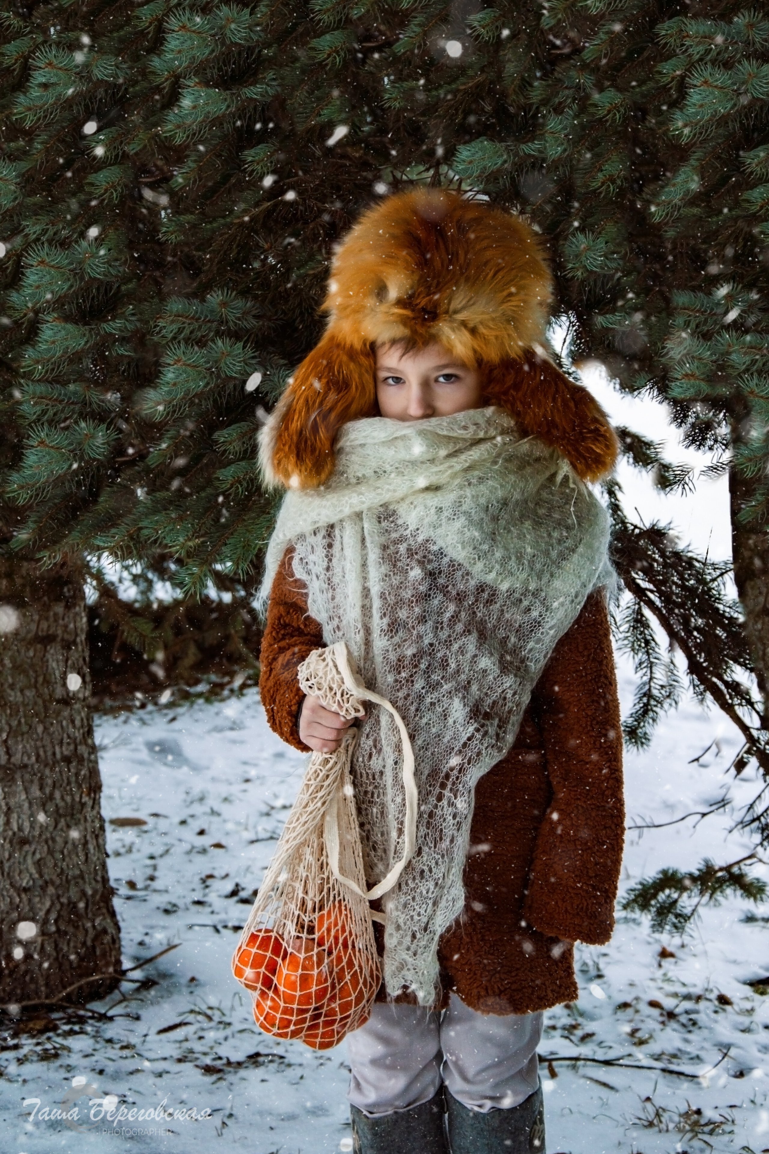 Зимняя сказка