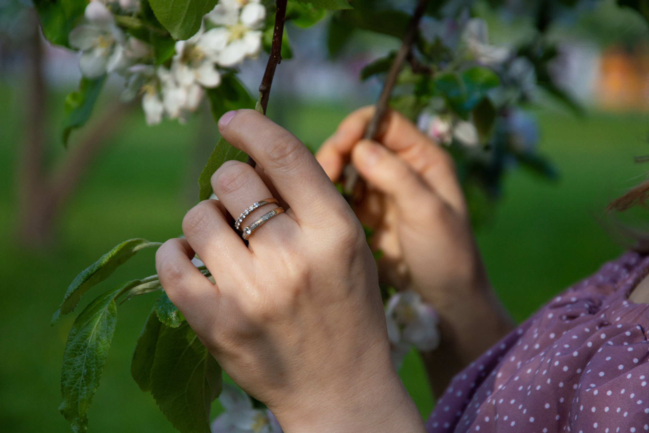 Прогулка в яблоневом саду