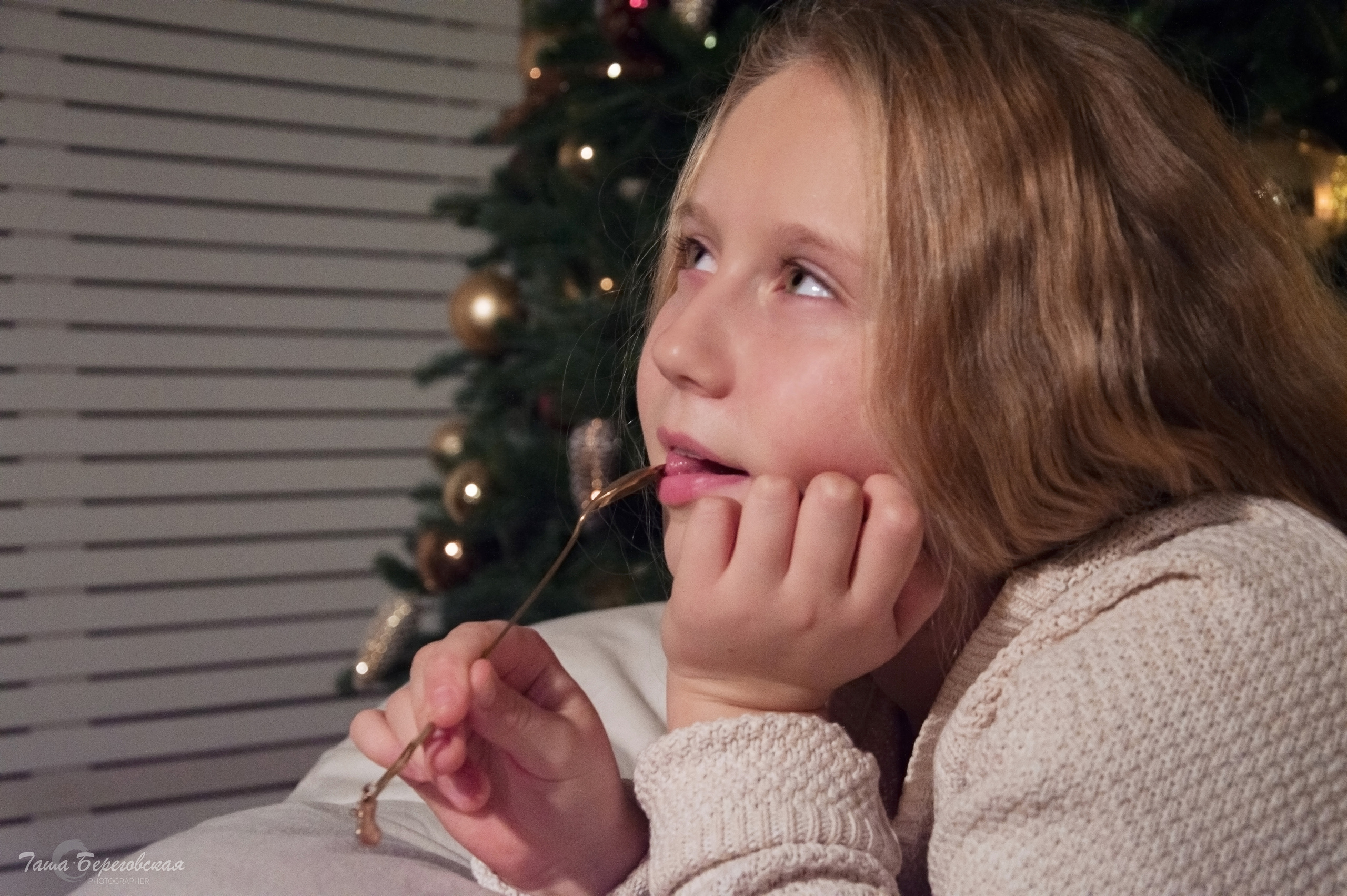 Новый год к нам мчится