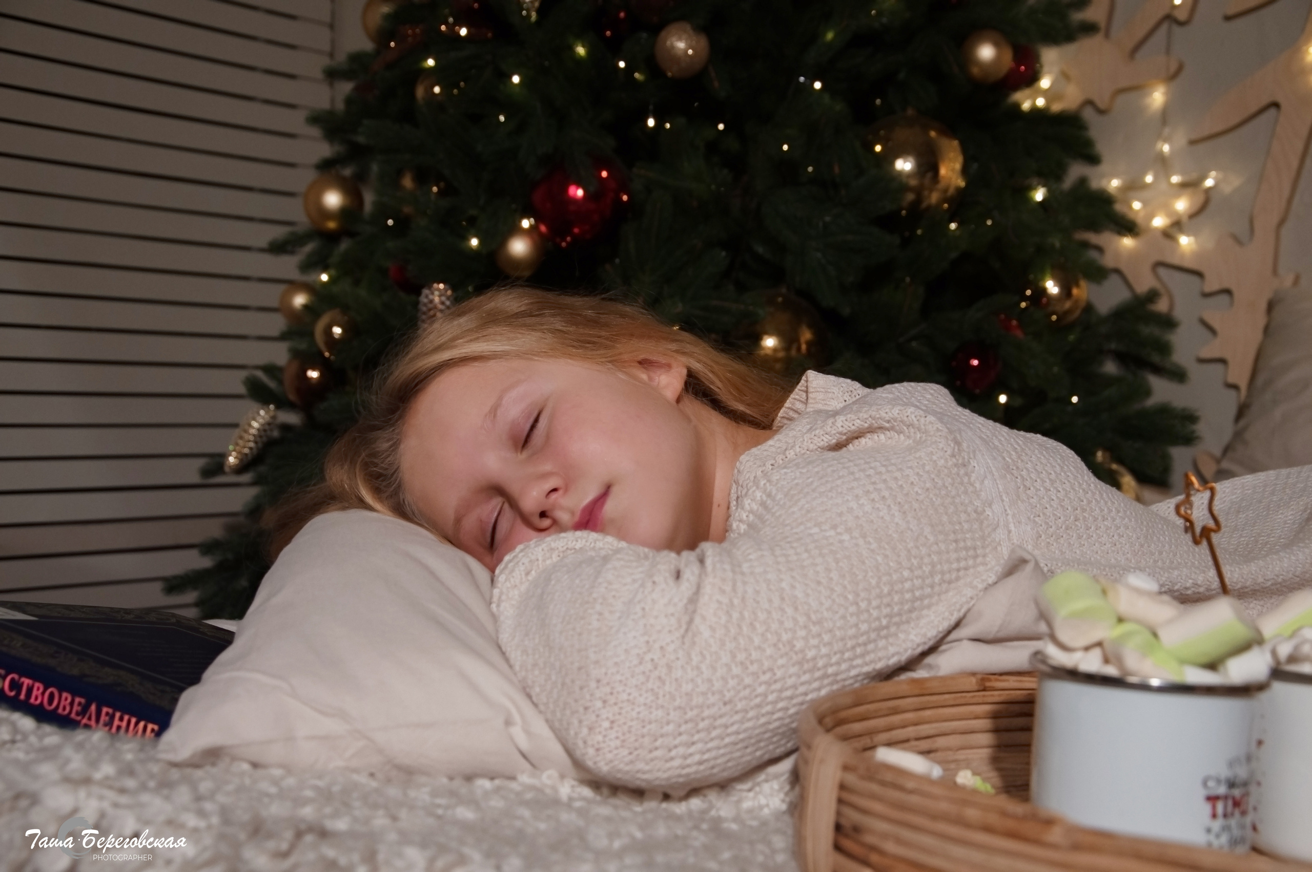 Новый год к нам мчится