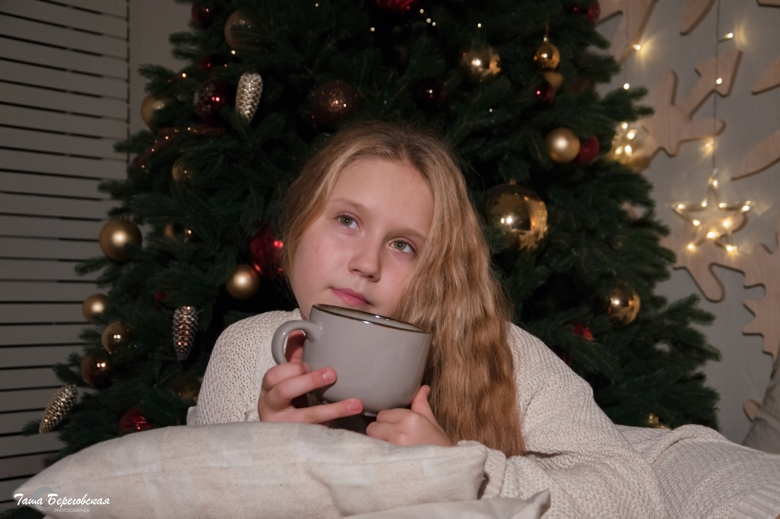 Новый год к нам мчится