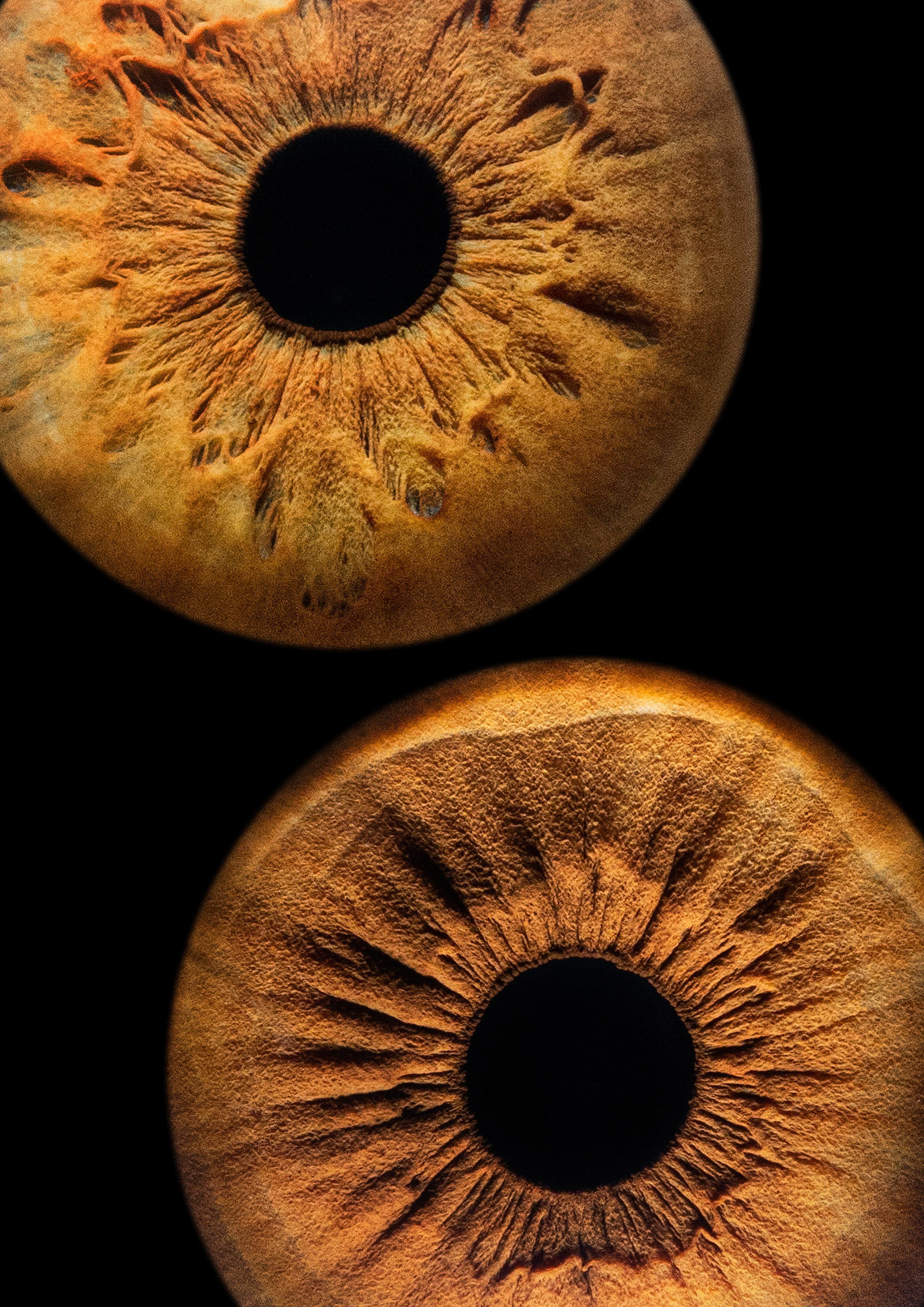 Примеры работ. Мой глаз