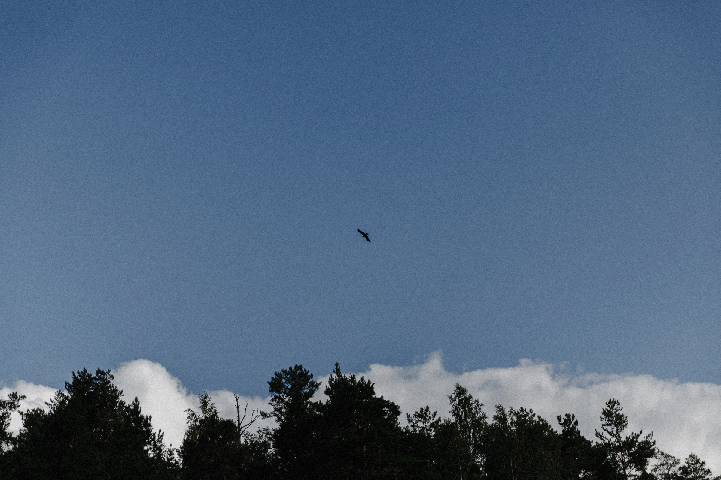 A real country wedding. Свадебный фотограф Аня Милграм
