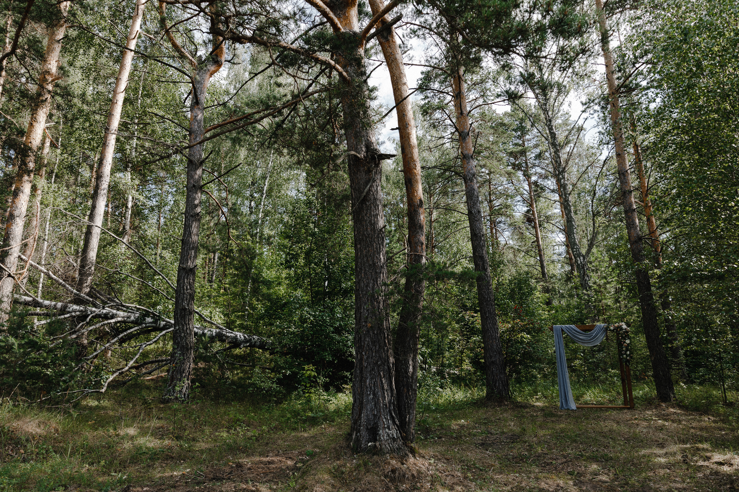 A real country wedding. Свадебный фотограф Аня Милграм