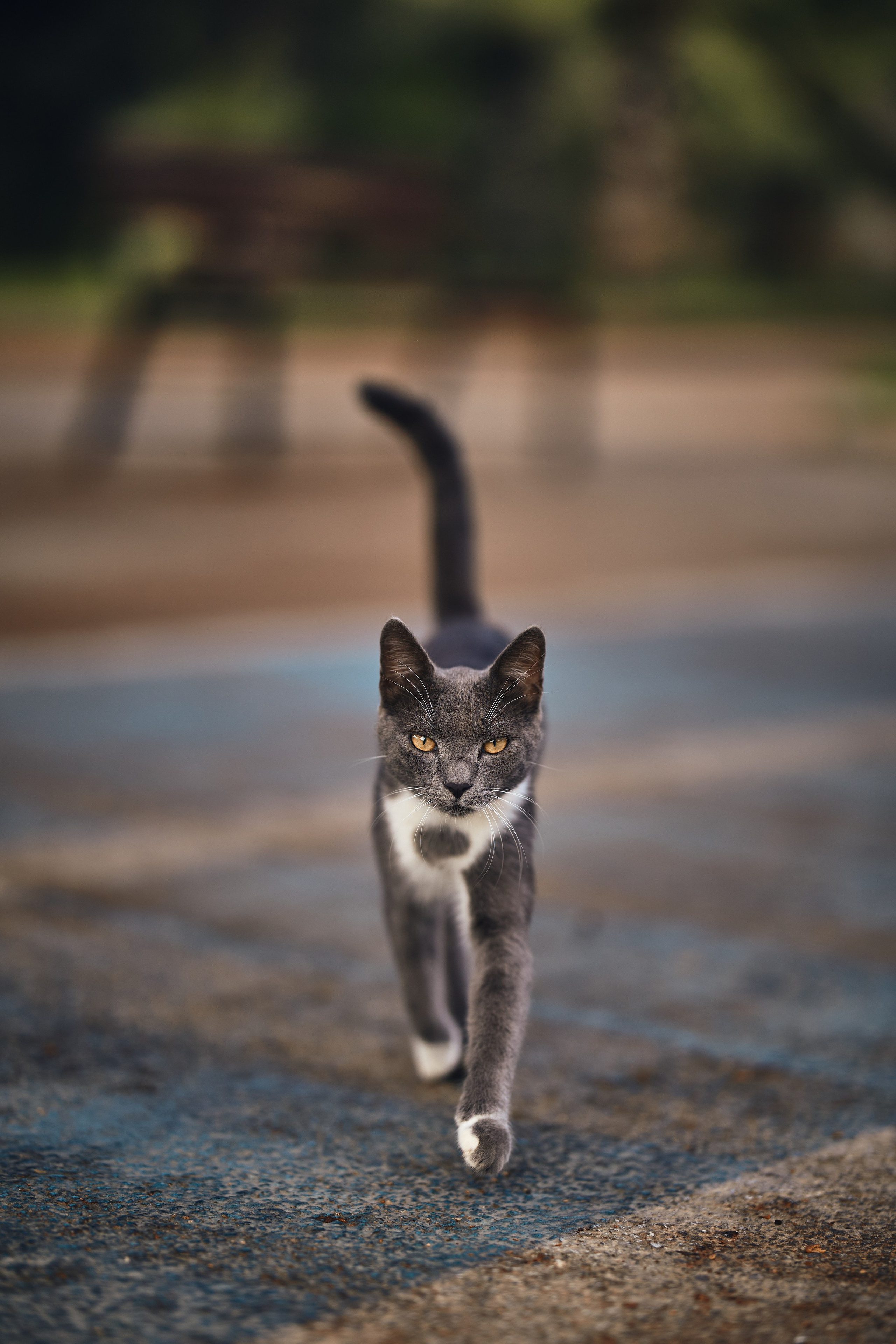 Street. Фотограф в Санкт-Петербурге Шевцов Андрей