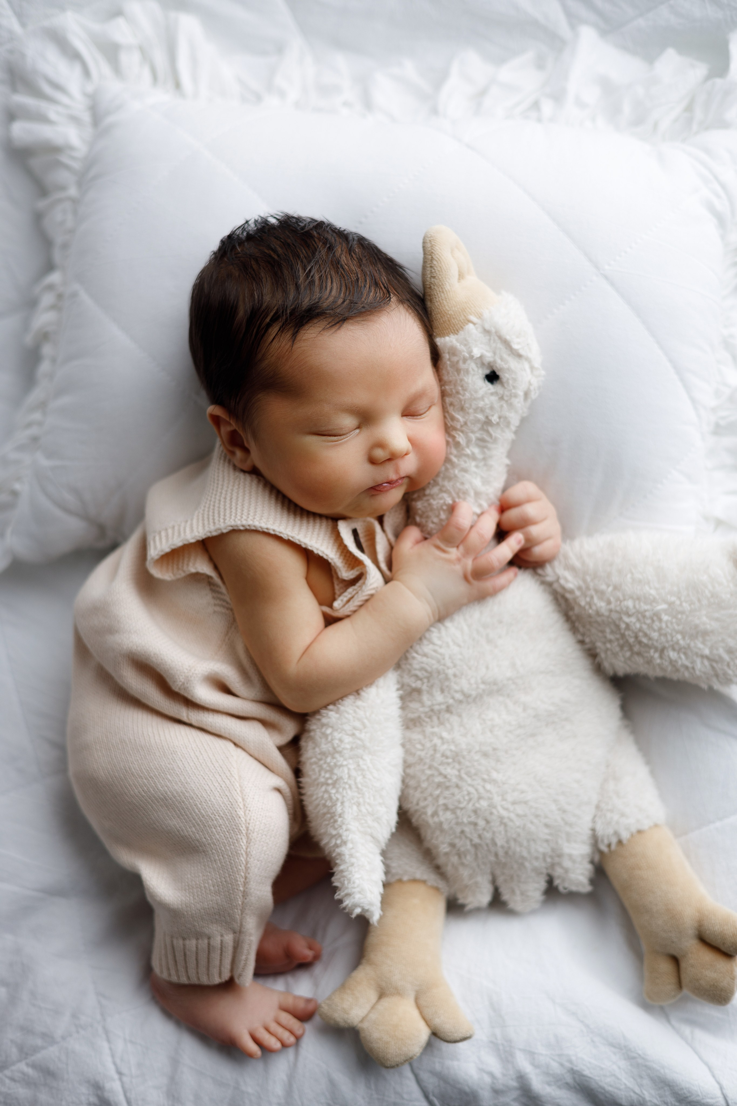 Александр пакет Малыш и семья. Фотограф новорожденных ньюборн newborn в Краснодаре Алена Гребенькова