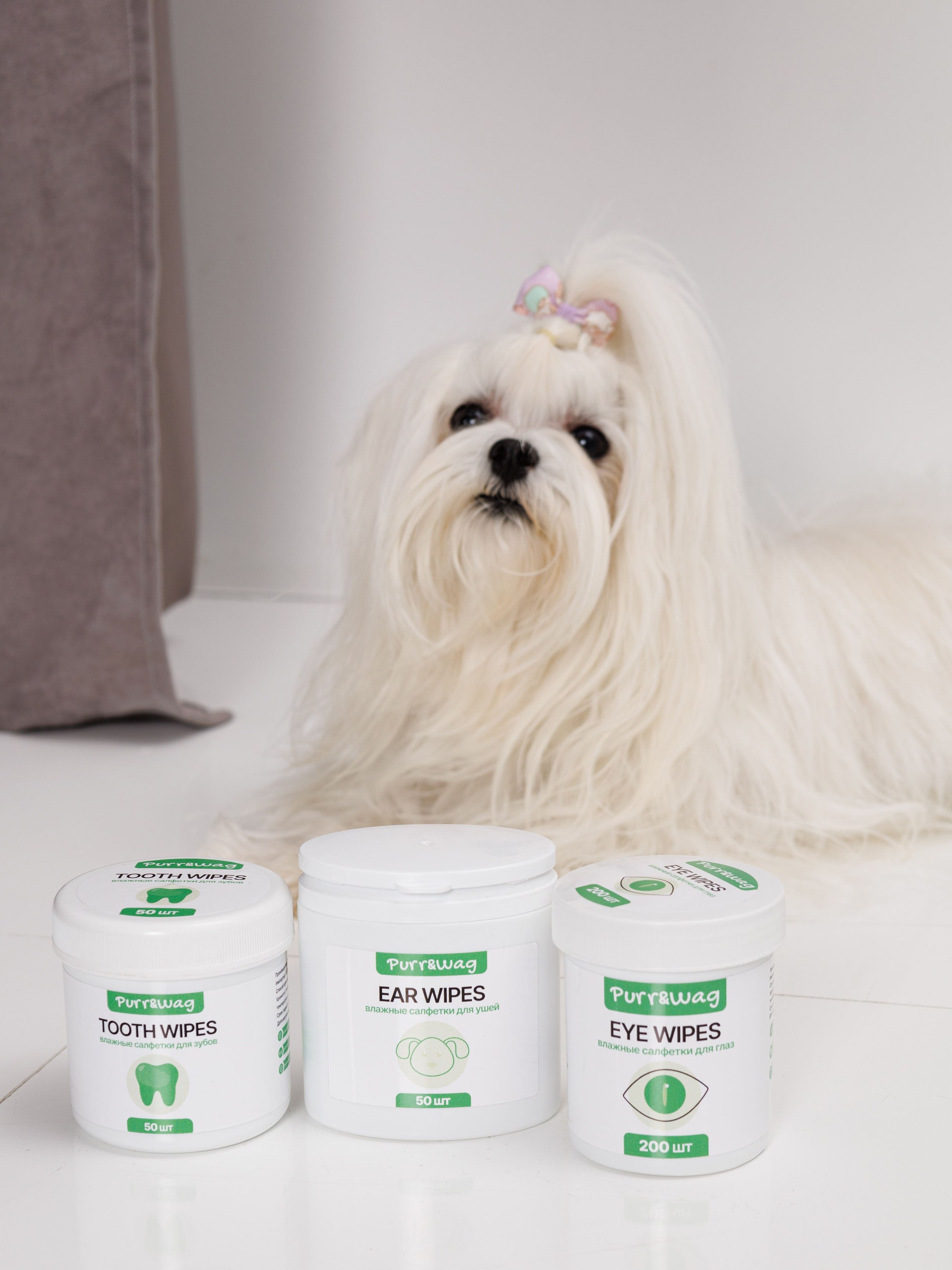 Съемка с животными. Главная