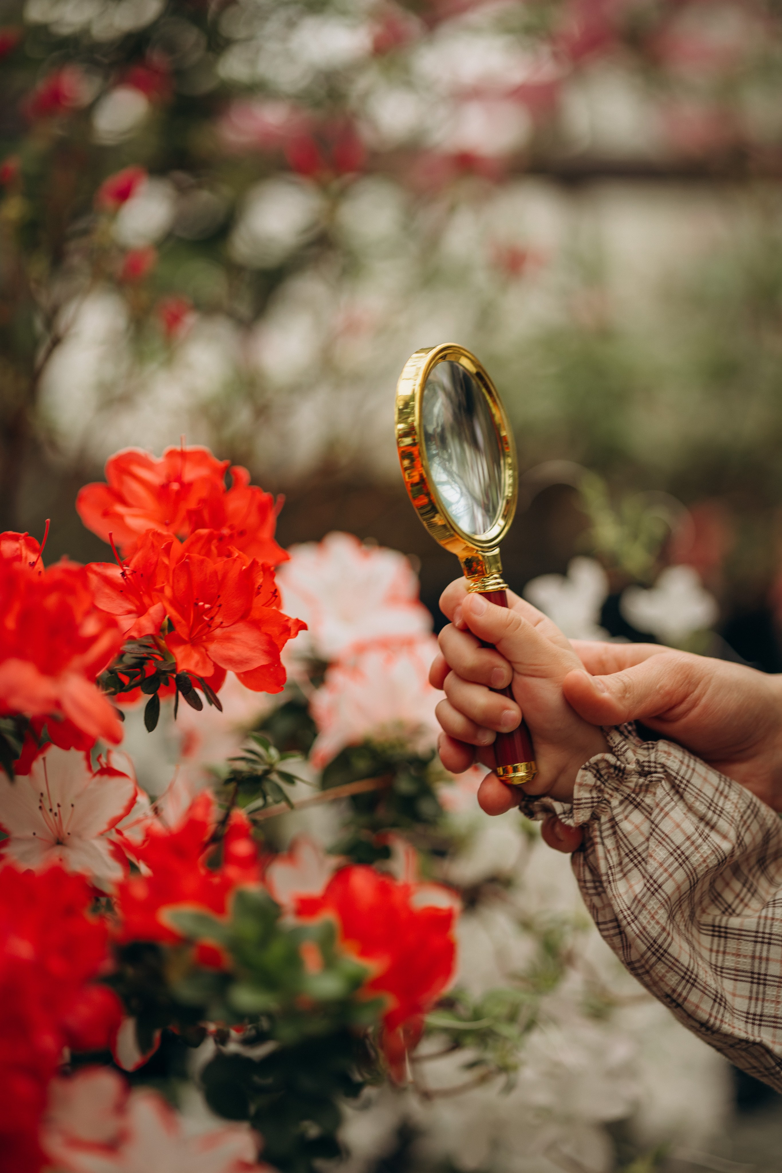 Дорина и Ева. Семейный фотограф В Москве Александра Дейкун