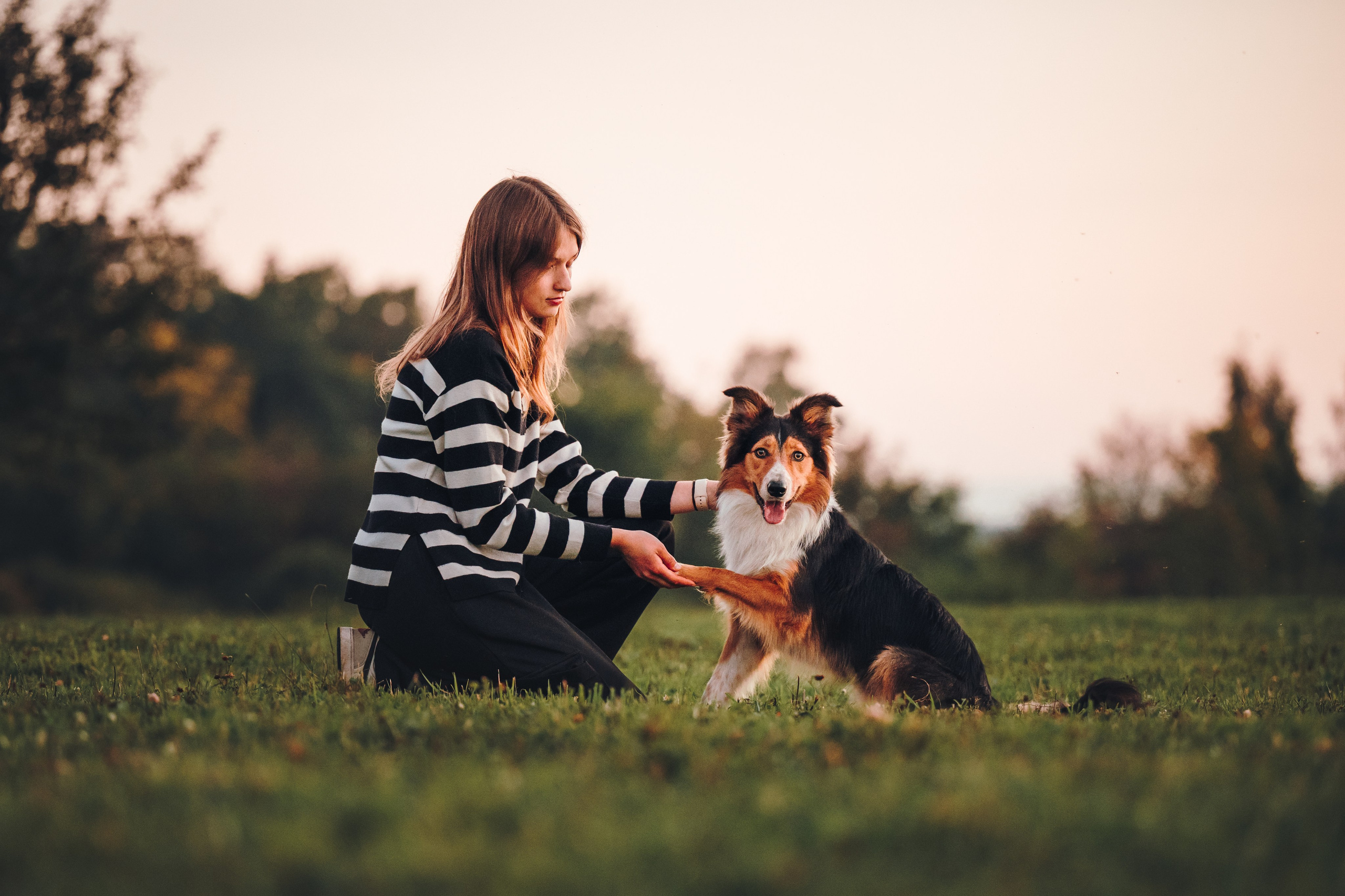 Саша, Флик и Эсприт. Семейный фотограф анималист Ананьева Мария — Москва