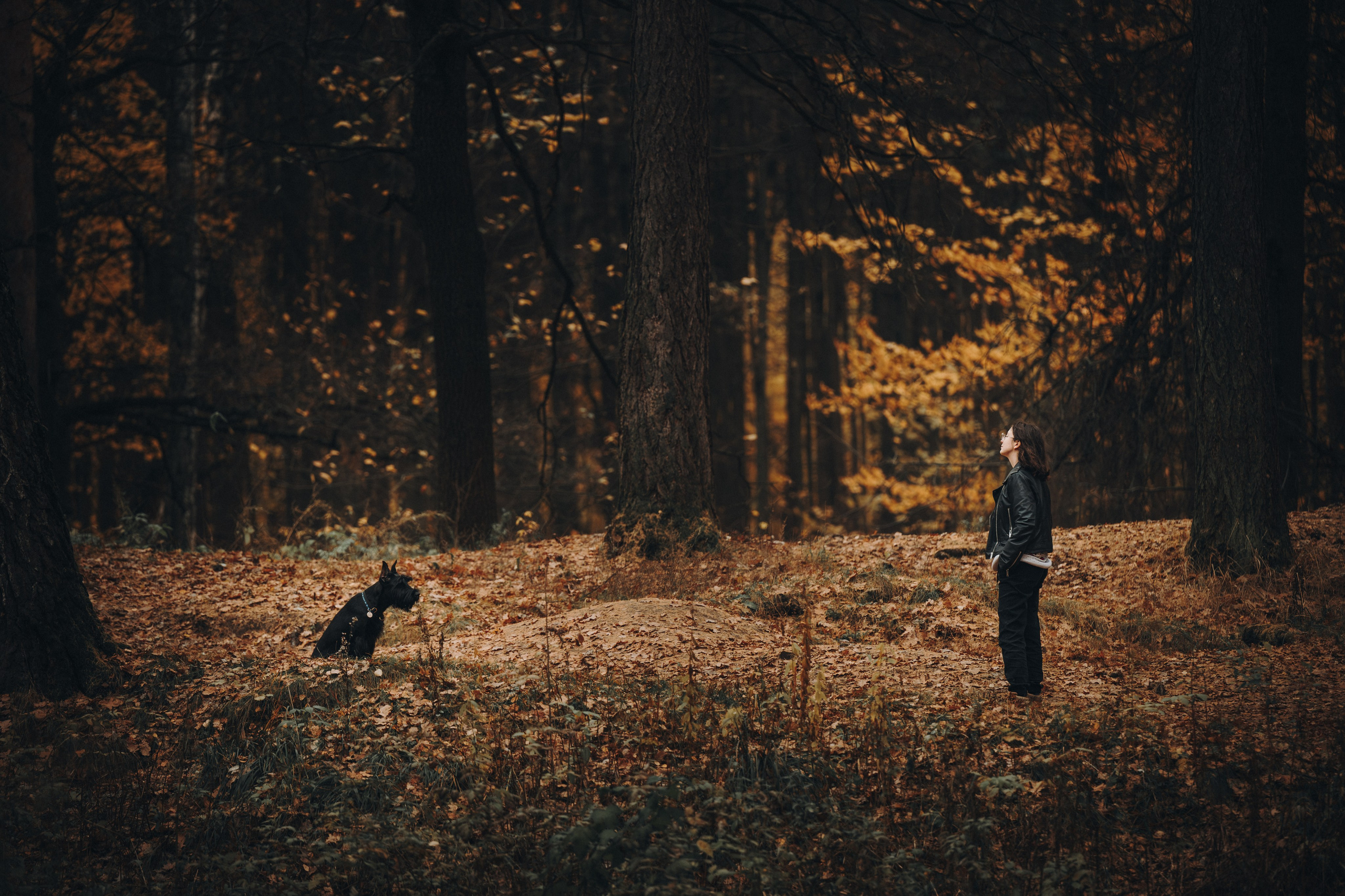 Даша и Умбра. Семейный фотограф анималист Ананьева Мария — Москва