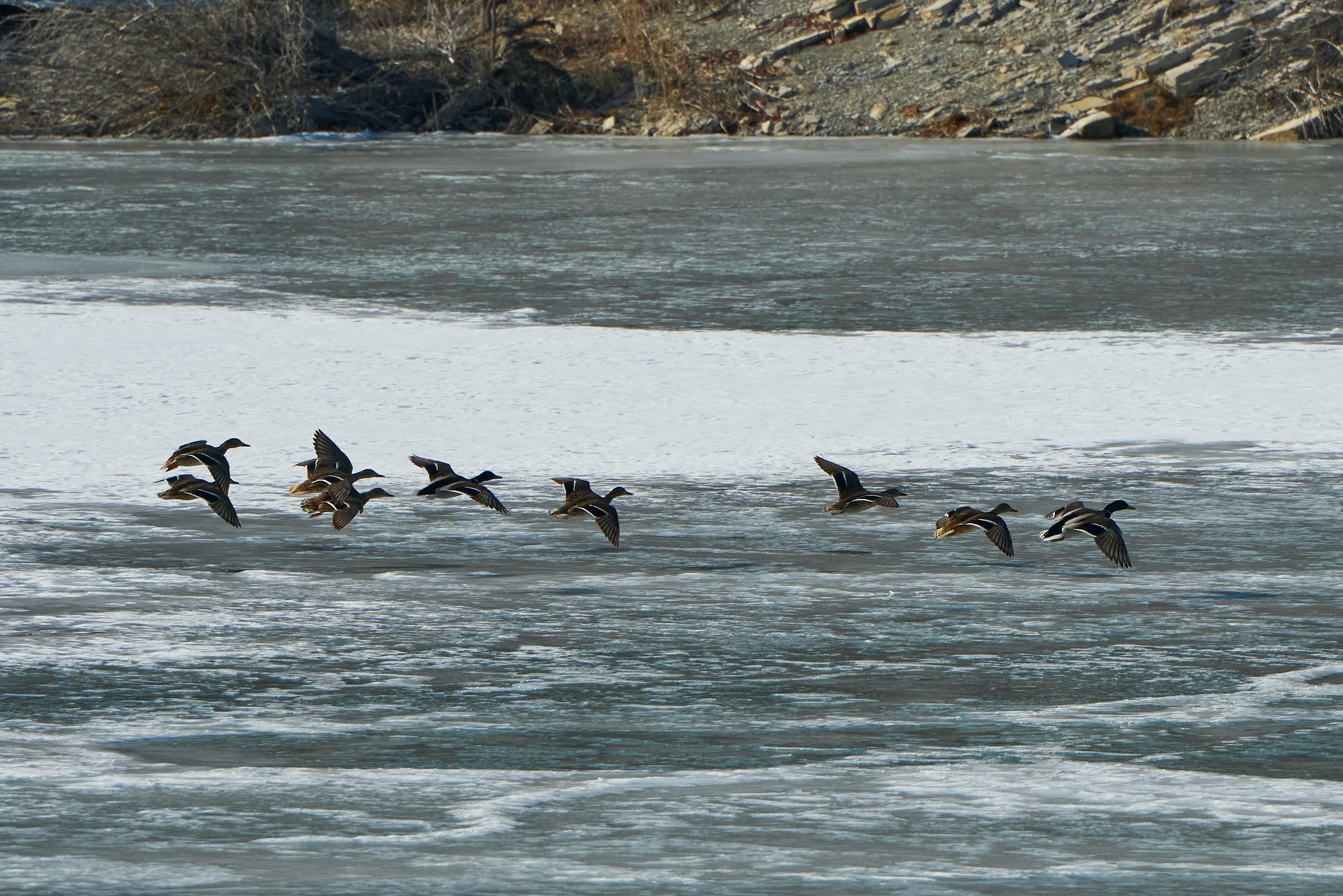 Фотографии улиц и пляжей Анапы. Профессиональный фотограф в Анапе Артем Ковальский