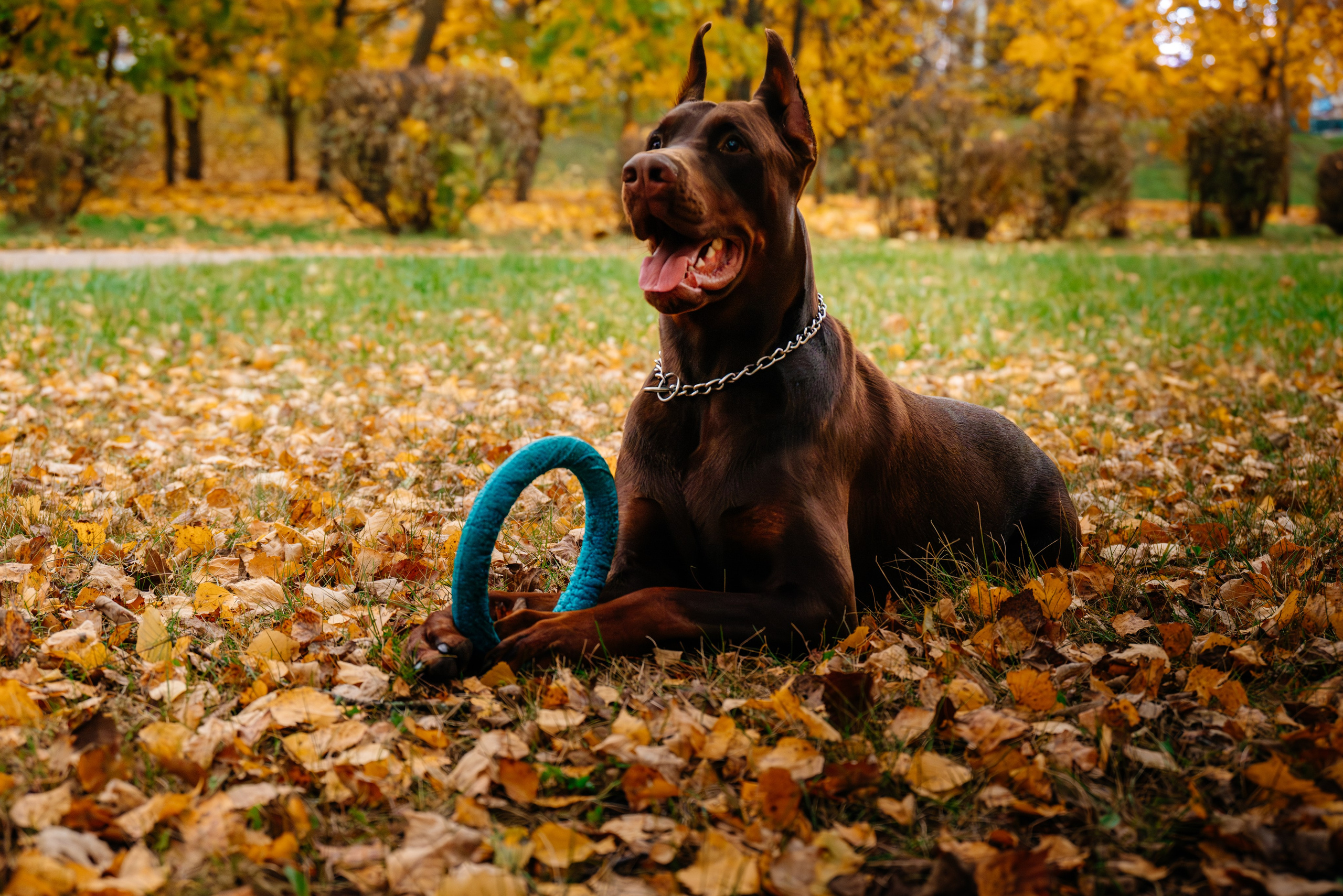 Семья Стенцель. Юлия Чайко, фотограф в Минске