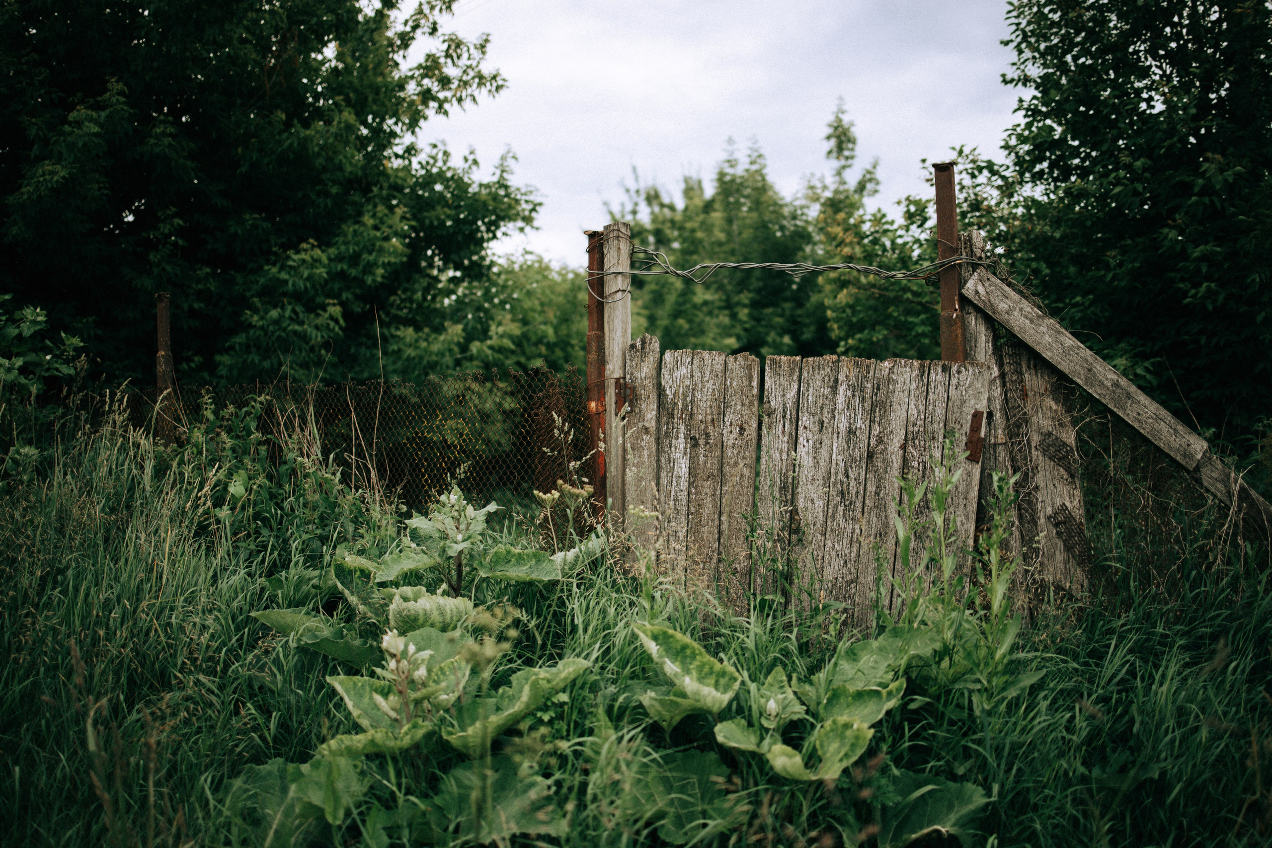 Прогулка по Криволучью. Свадебный и семейный фотограф в Туле и области Маша Костина