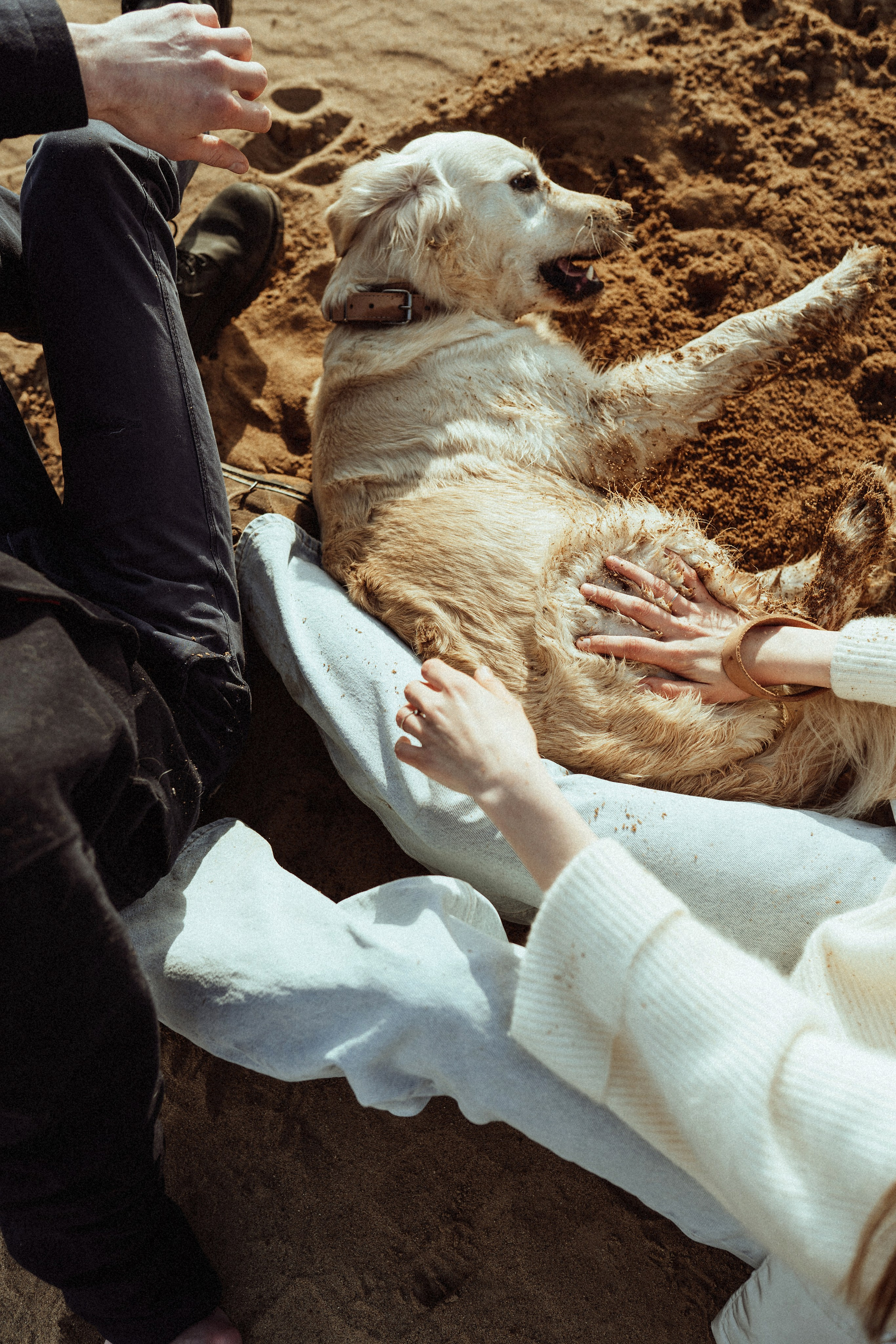 В объятьях Феи