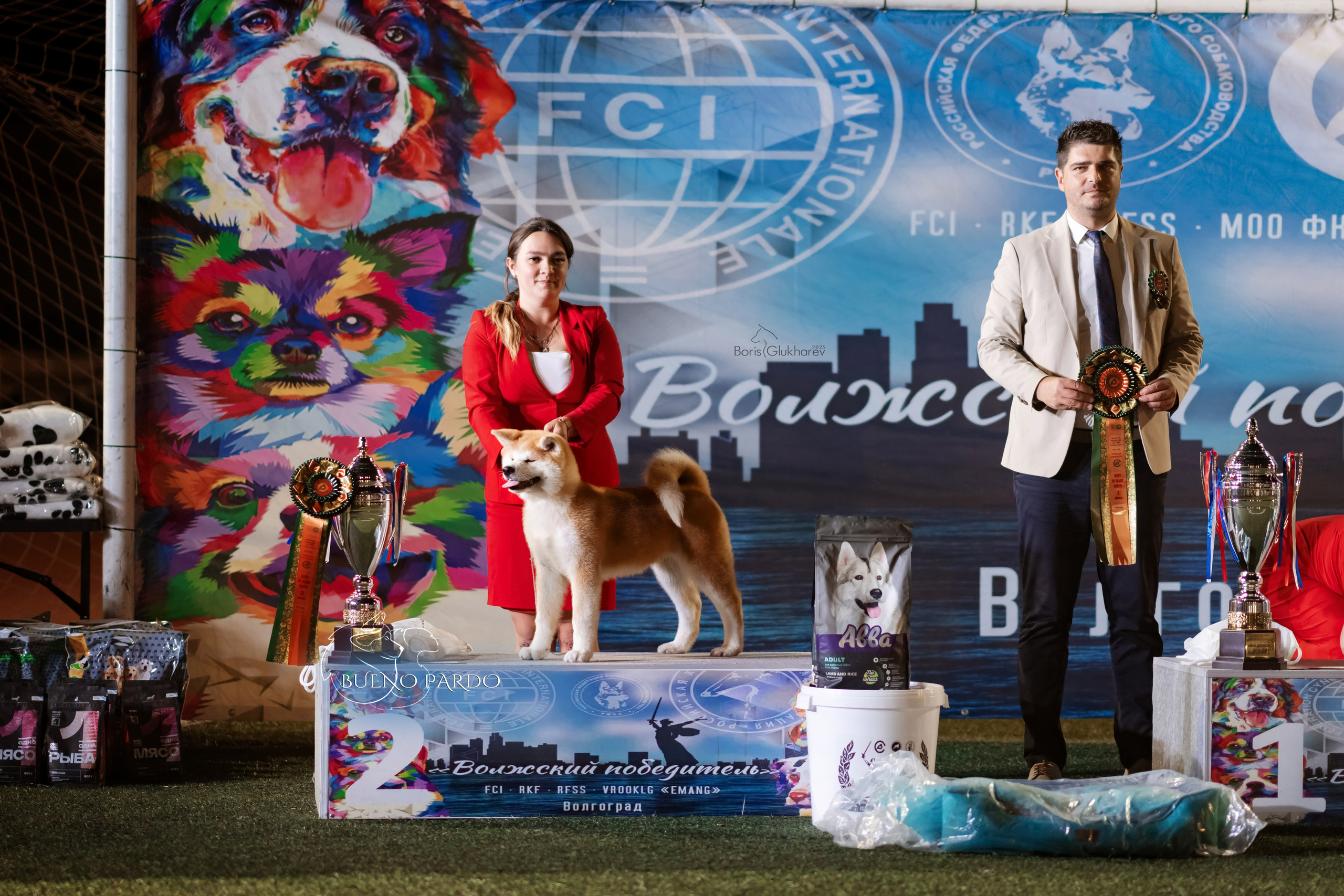 АКИТА. Kawaii Kuma питомник собак пород Корги пемброк, Акита ину, Сиба