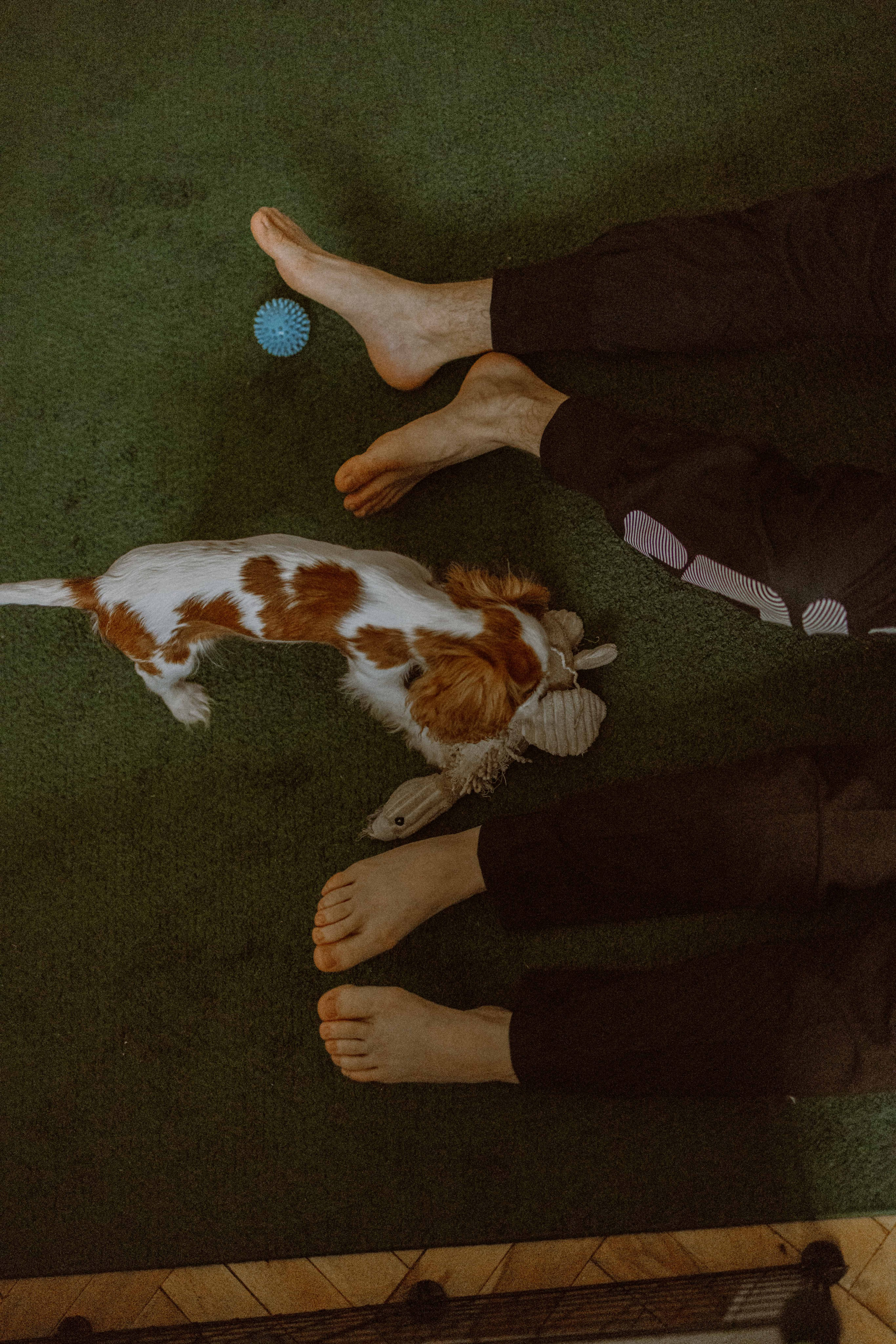 Юля и Кипр. Фотограф-анималист в Москве Лера Черноног