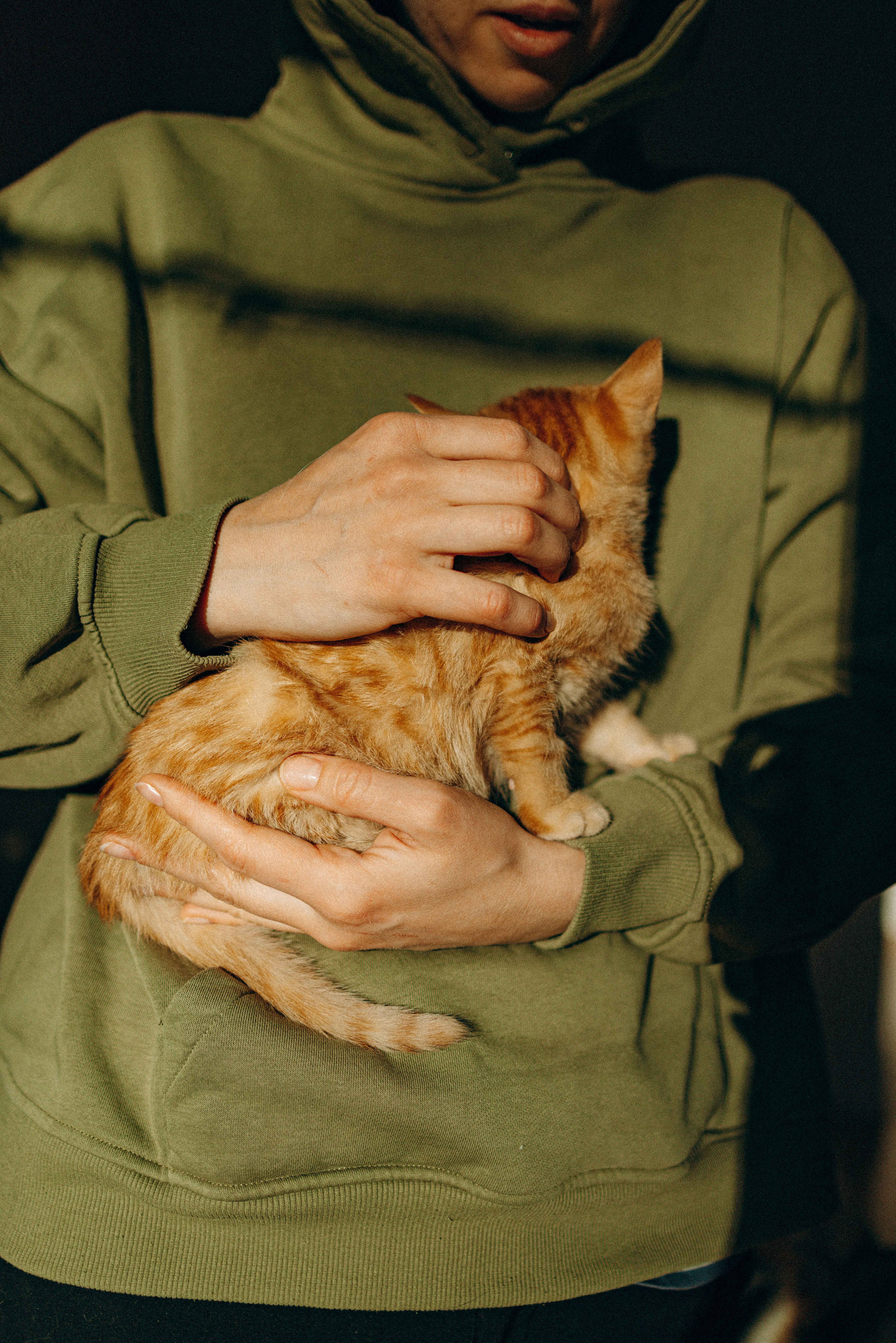 Кускус. Фотограф-анималист в Москве Лера Черноног