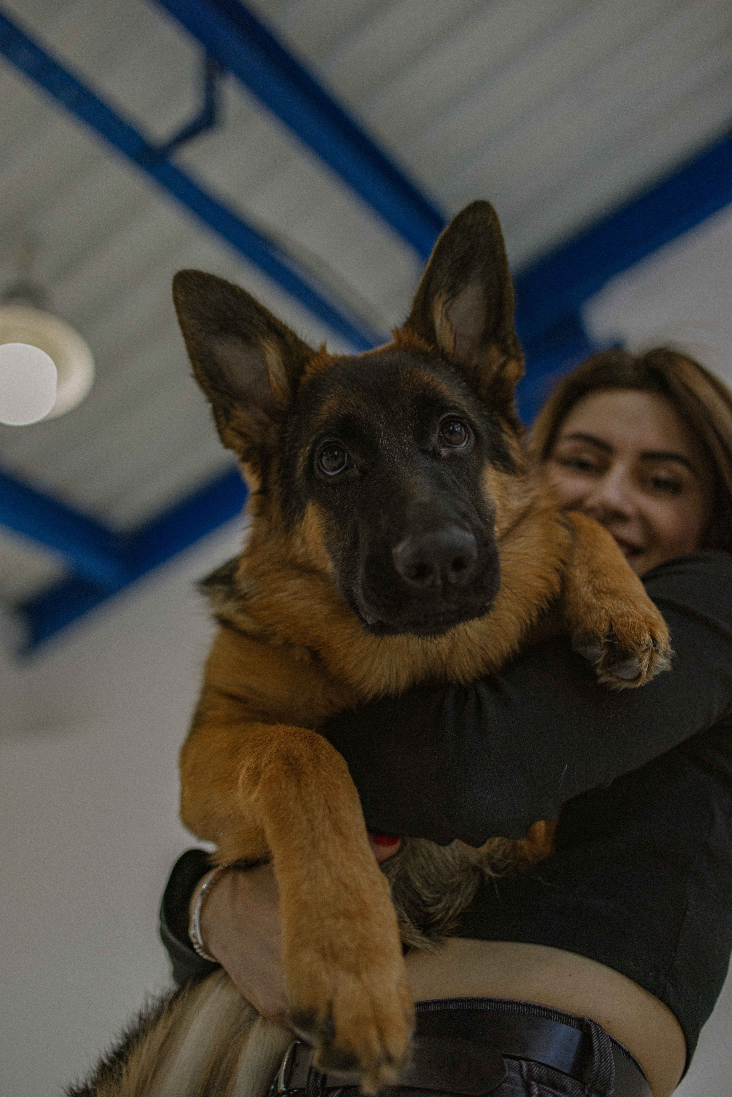 Ася и Буся. Фотограф-анималист в Москве Лера Черноног