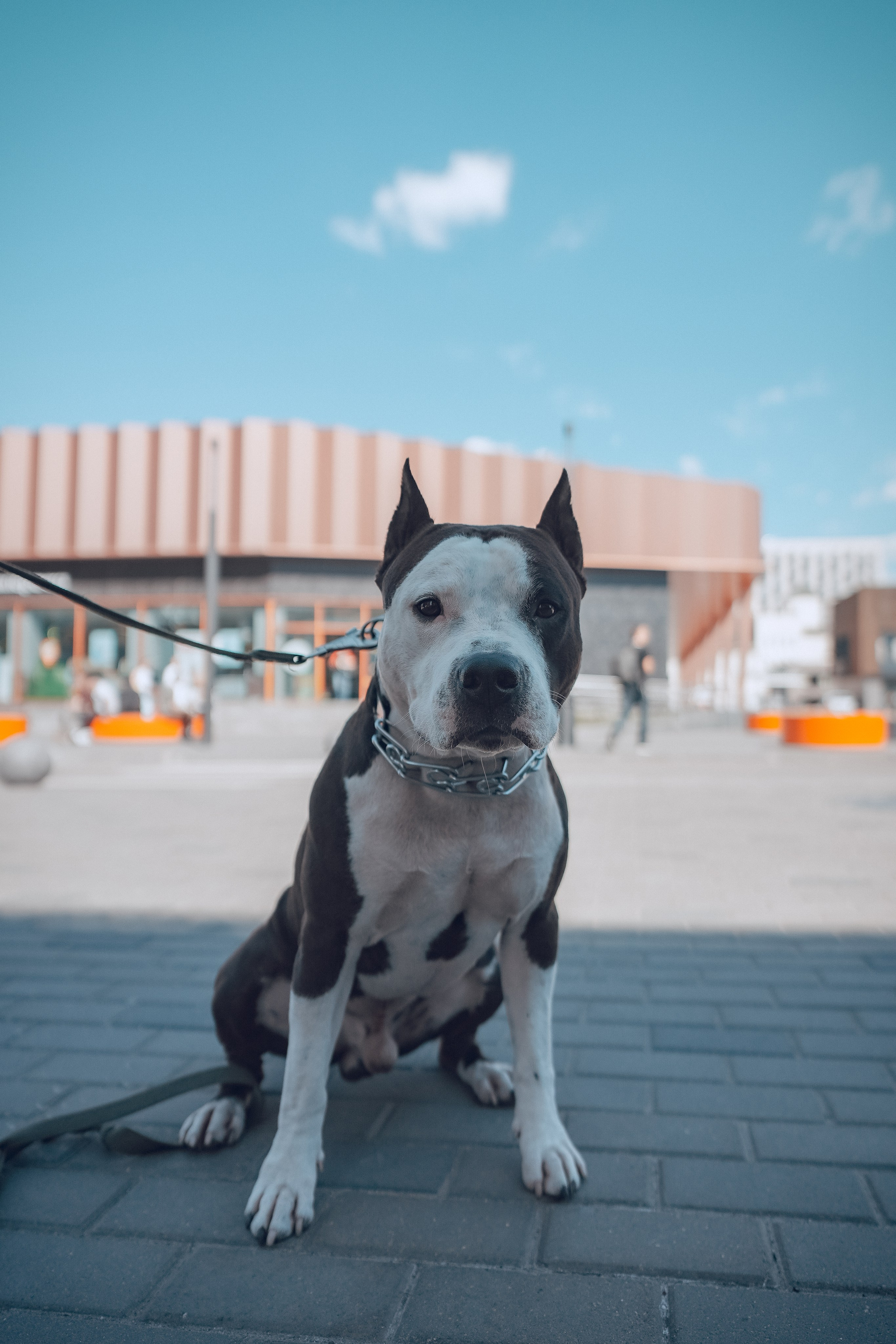 Фотофестиваль Wfolio. Портретный и семейный фотограф в Москве/Видное