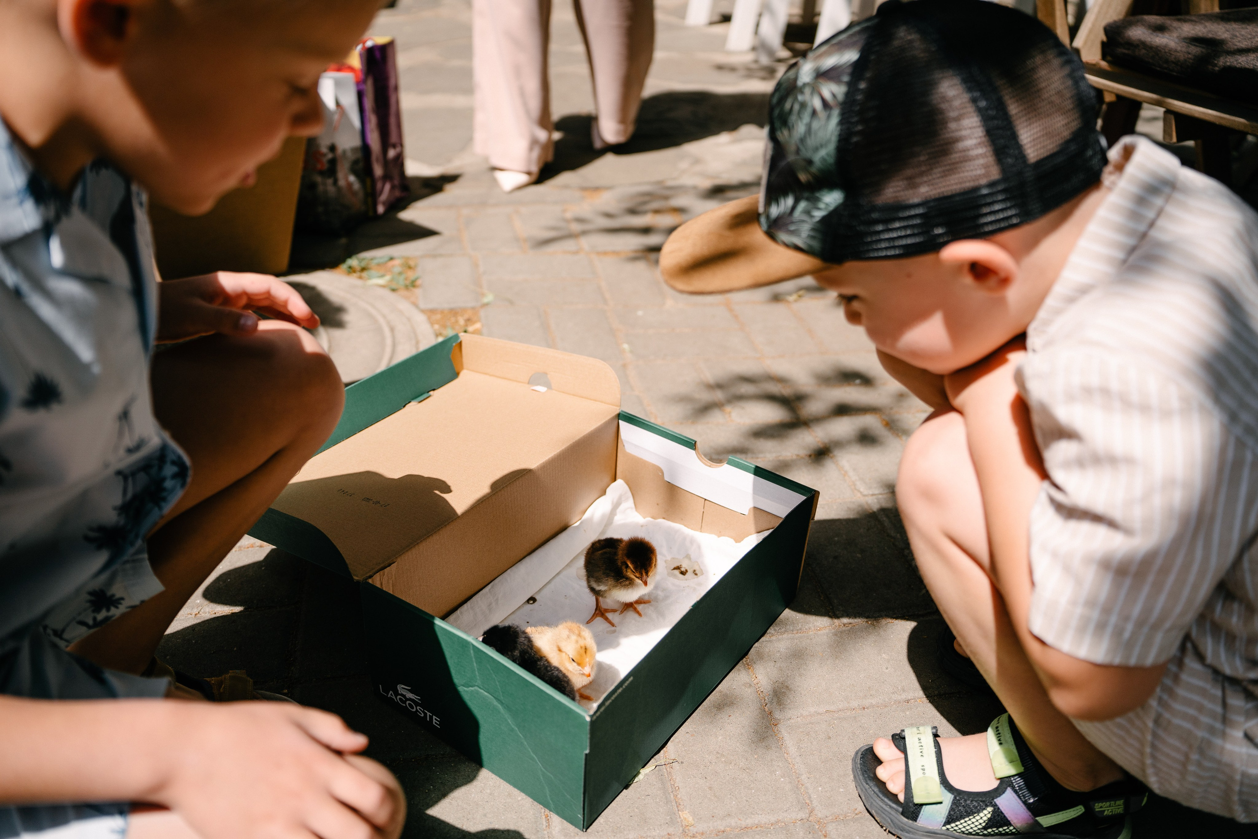 День Рождения Тимофея. Свадебный и семейный фотограф в Воронеже Анастасия Бойко