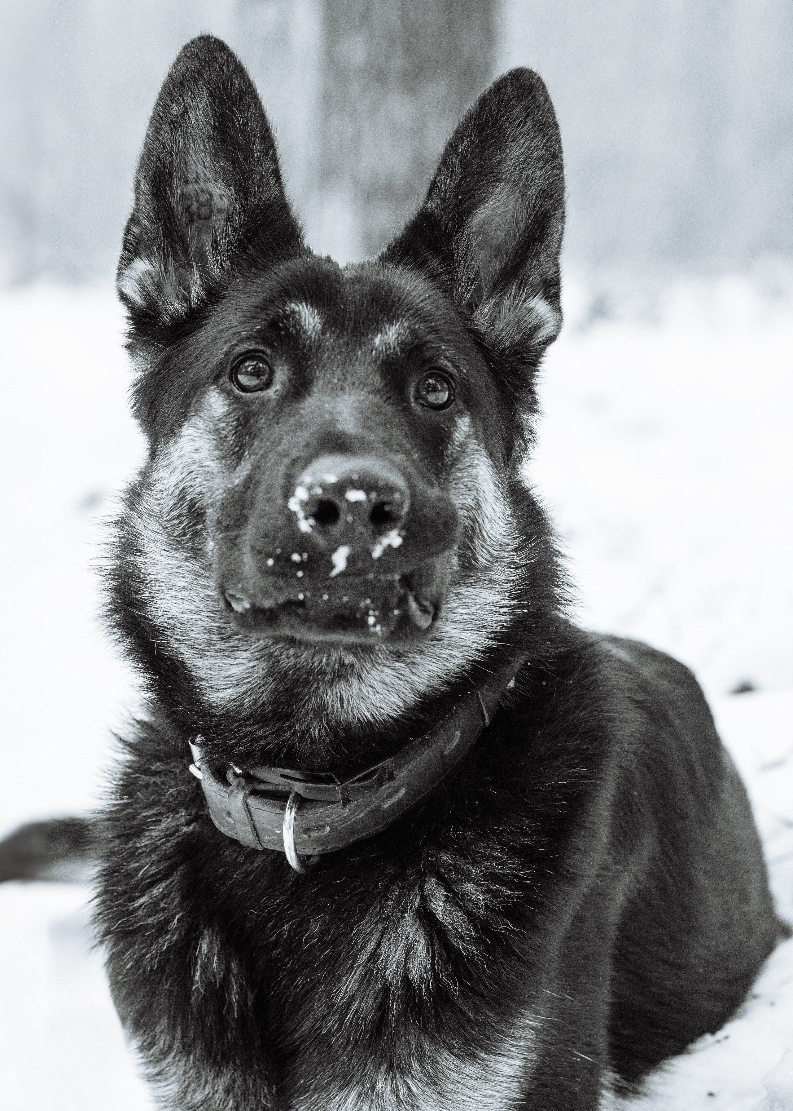 Анна и Рич. Фотограф в Ростове-на-Дону