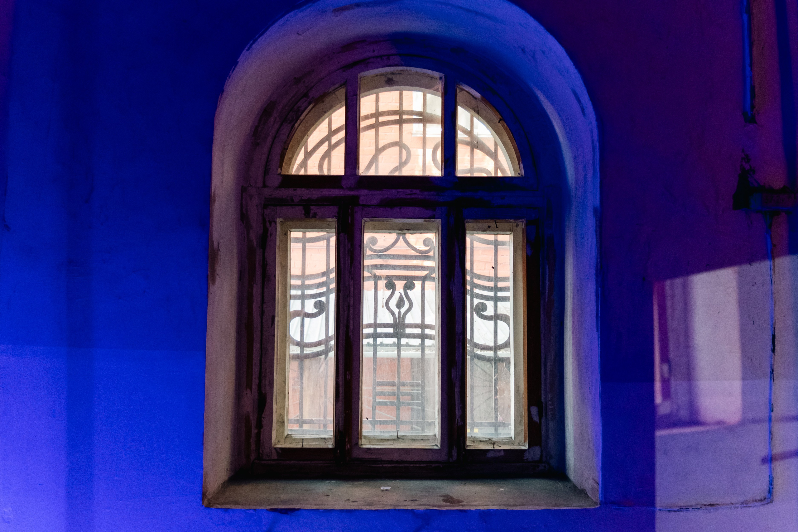 Марина Денкевич. Искусствовед. Репортажный фотограф Наталья Лапцевич