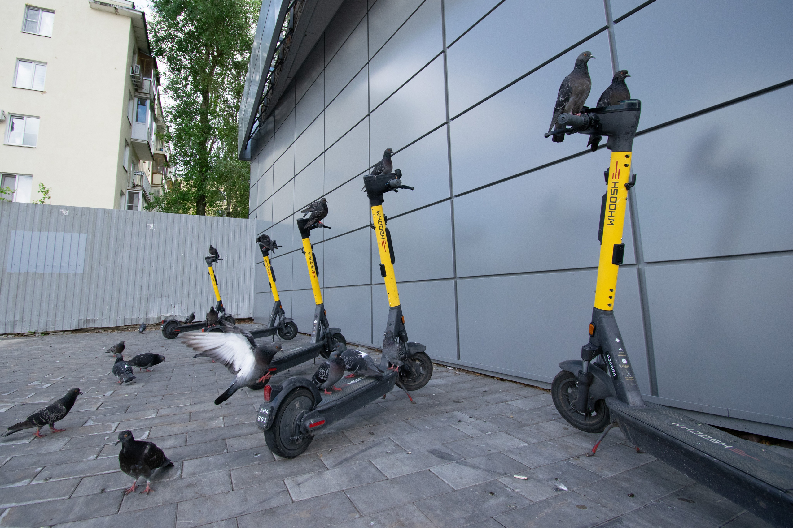 РГ. Самокаты. Iliya Soldatkin Fine Art Photography