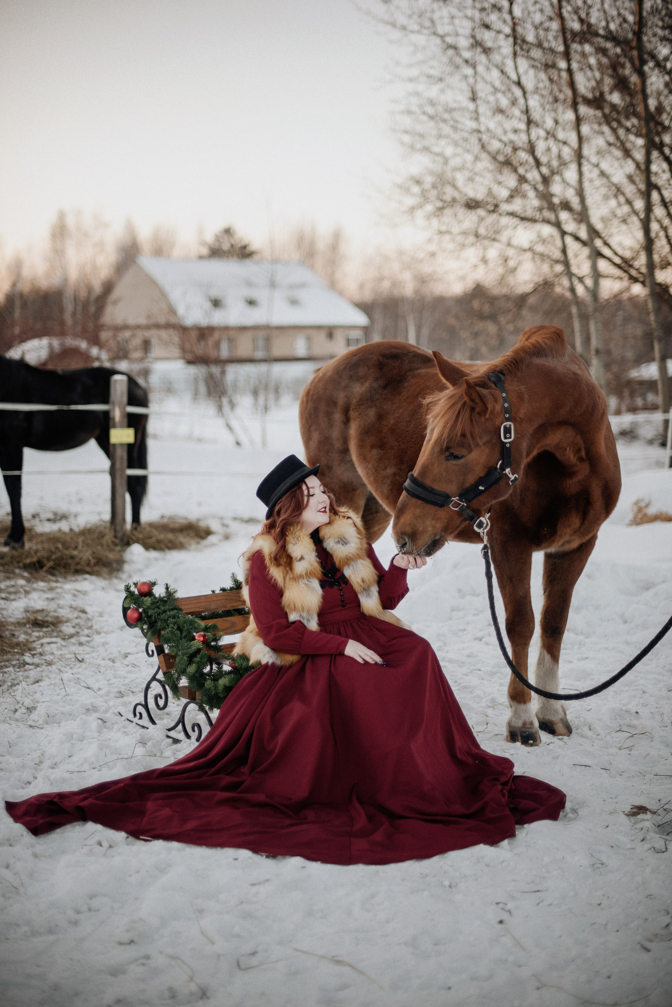Фото СИМВОЛ ГОДА 2026 от Натальи. ФОТОПРОЕКТЫ