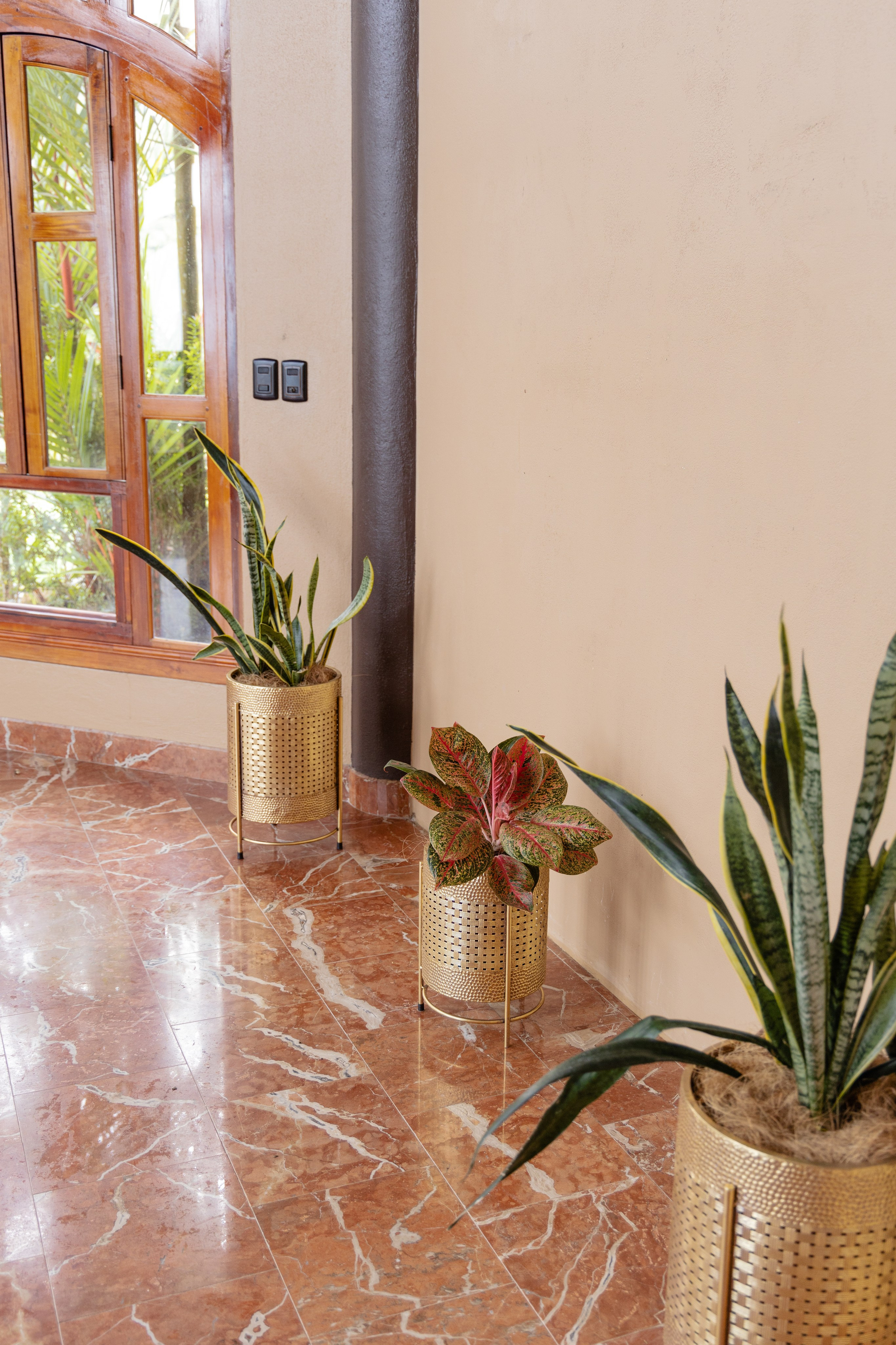 Real estate property for rent in Costa Rica. Family, portrait, content photo in Costa Rica Evgeniya Besprozvannykh