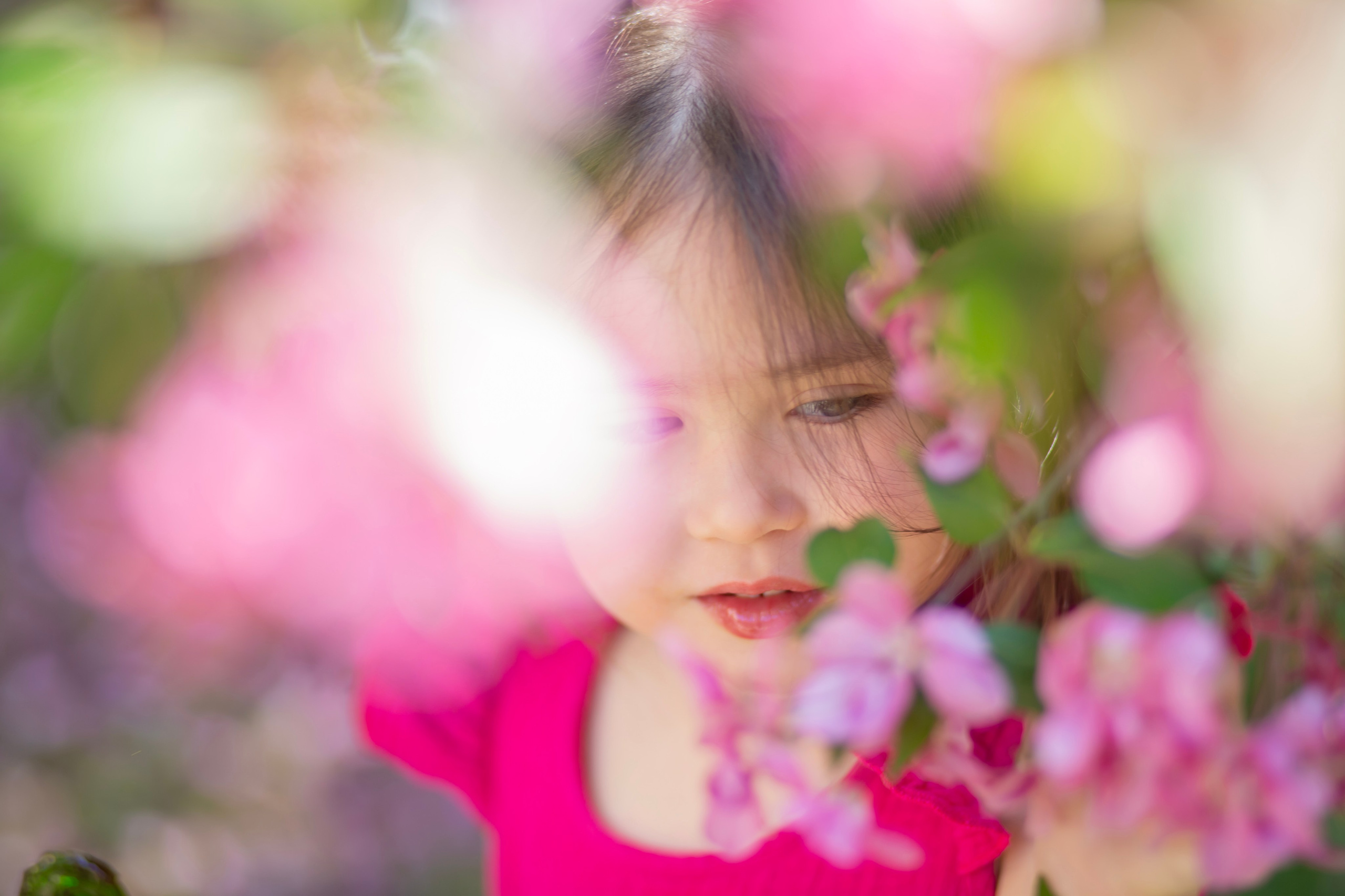 Фотопрогулка-яблони розовые. Семейный и детский фотограф в Москве и МО — Александра