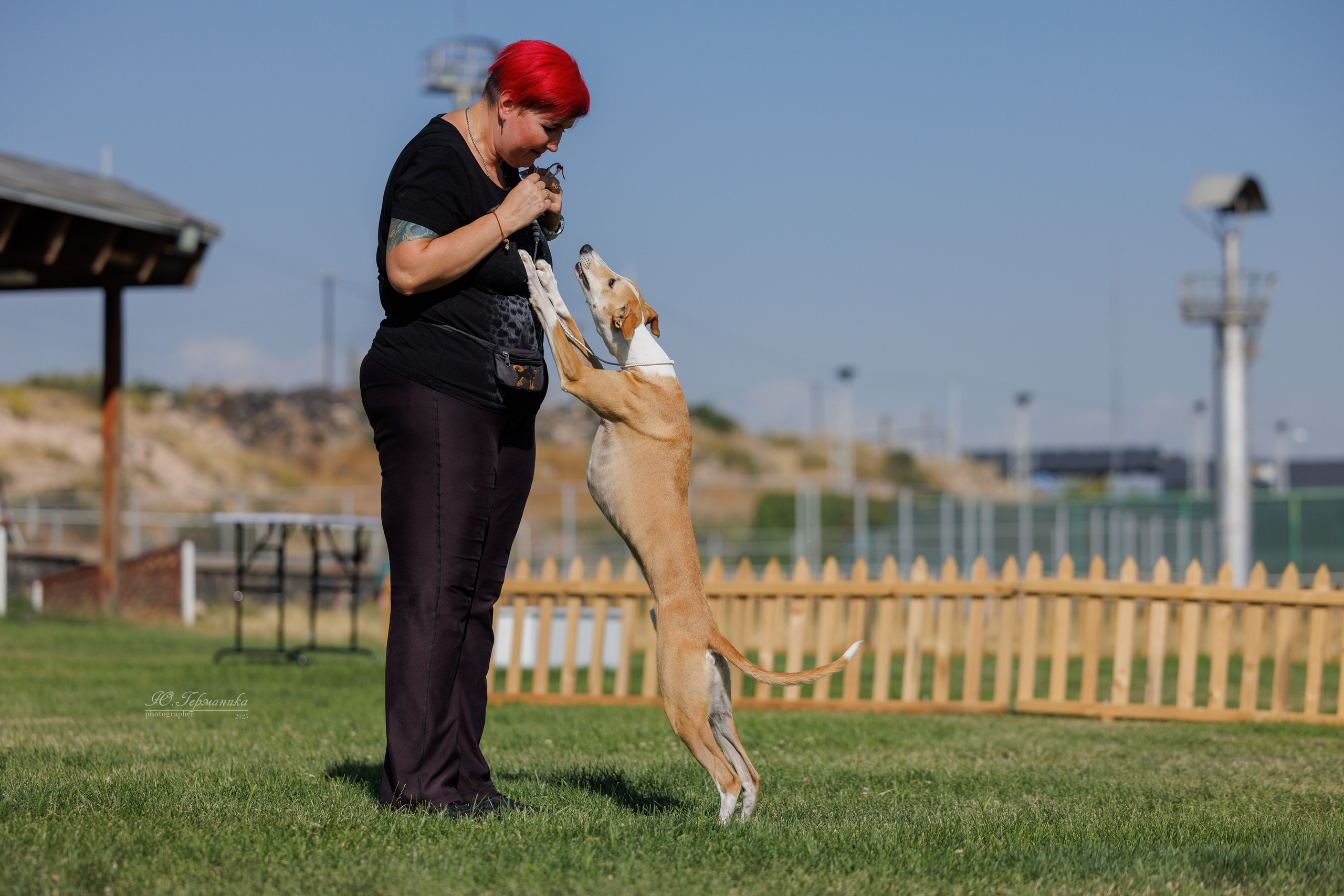 Ереван 3хCACIB 23-25.06.2025. Фотограф-анималист Юлия Германика