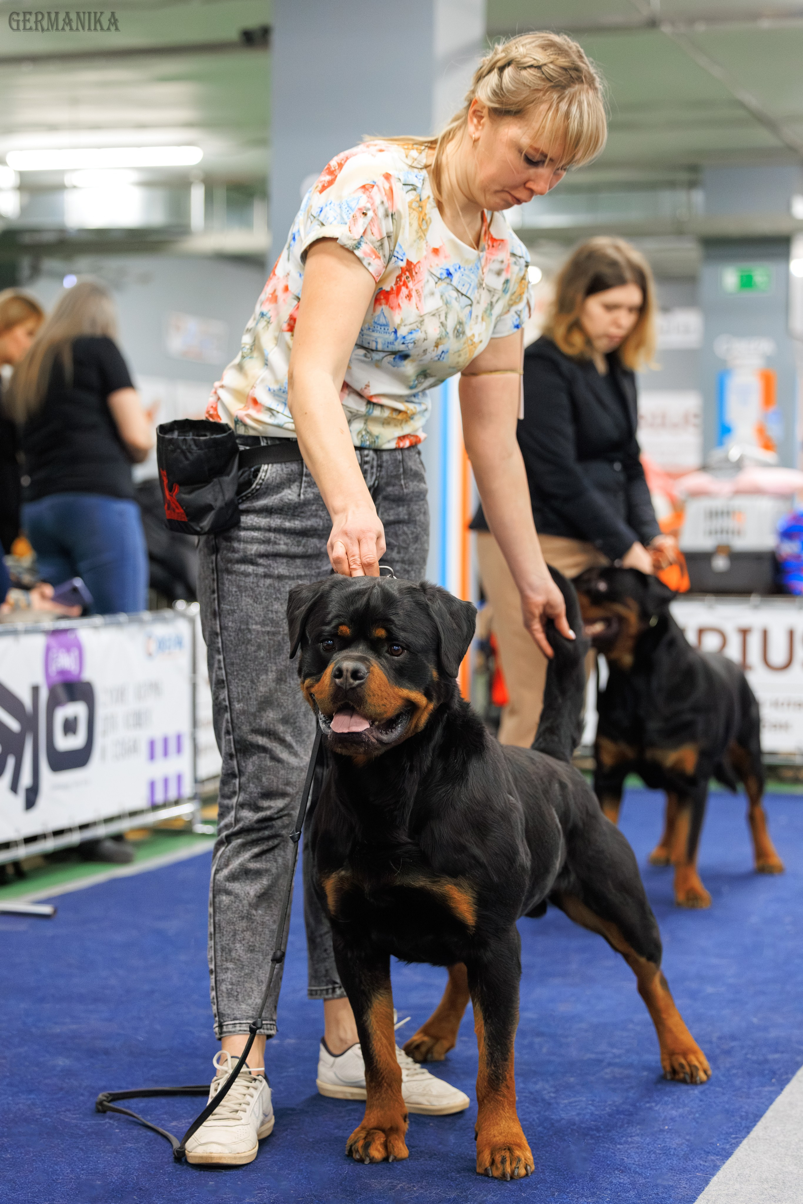 Сфера 08 и 10.03.2024 2хмоно ротвейлеров+2хмоно сао. Фотограф-анималист Юлия Германика