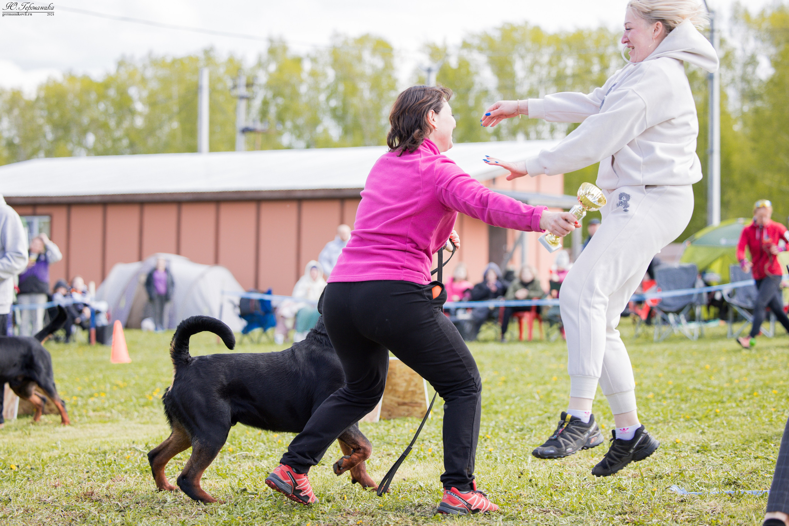 Нижний Новгород 11-12.05.2024 моно ротвейлеров. Фотограф-анималист Юлия Германика
