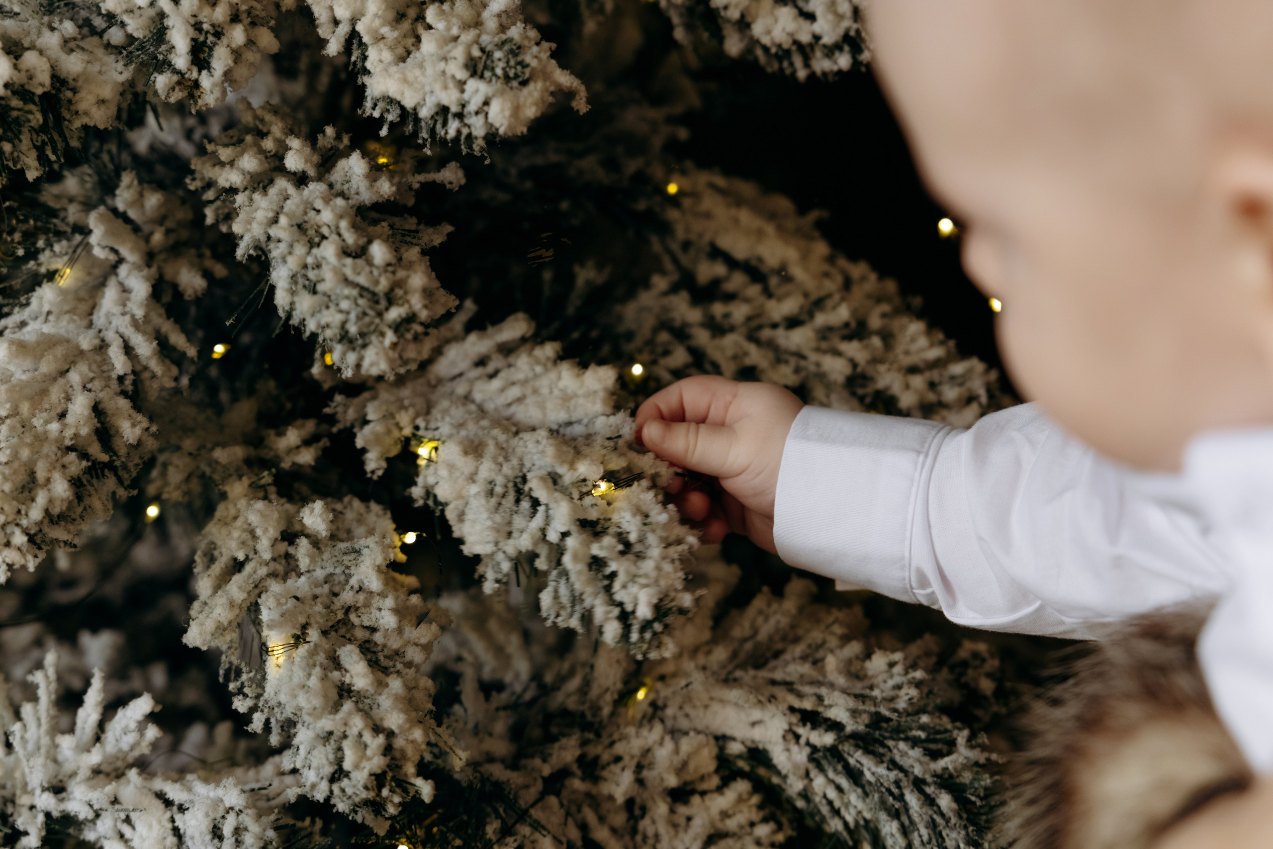 Фотостудия Дача. Свадебный и семейный фотограф Краснодар, Юлия Потопахина