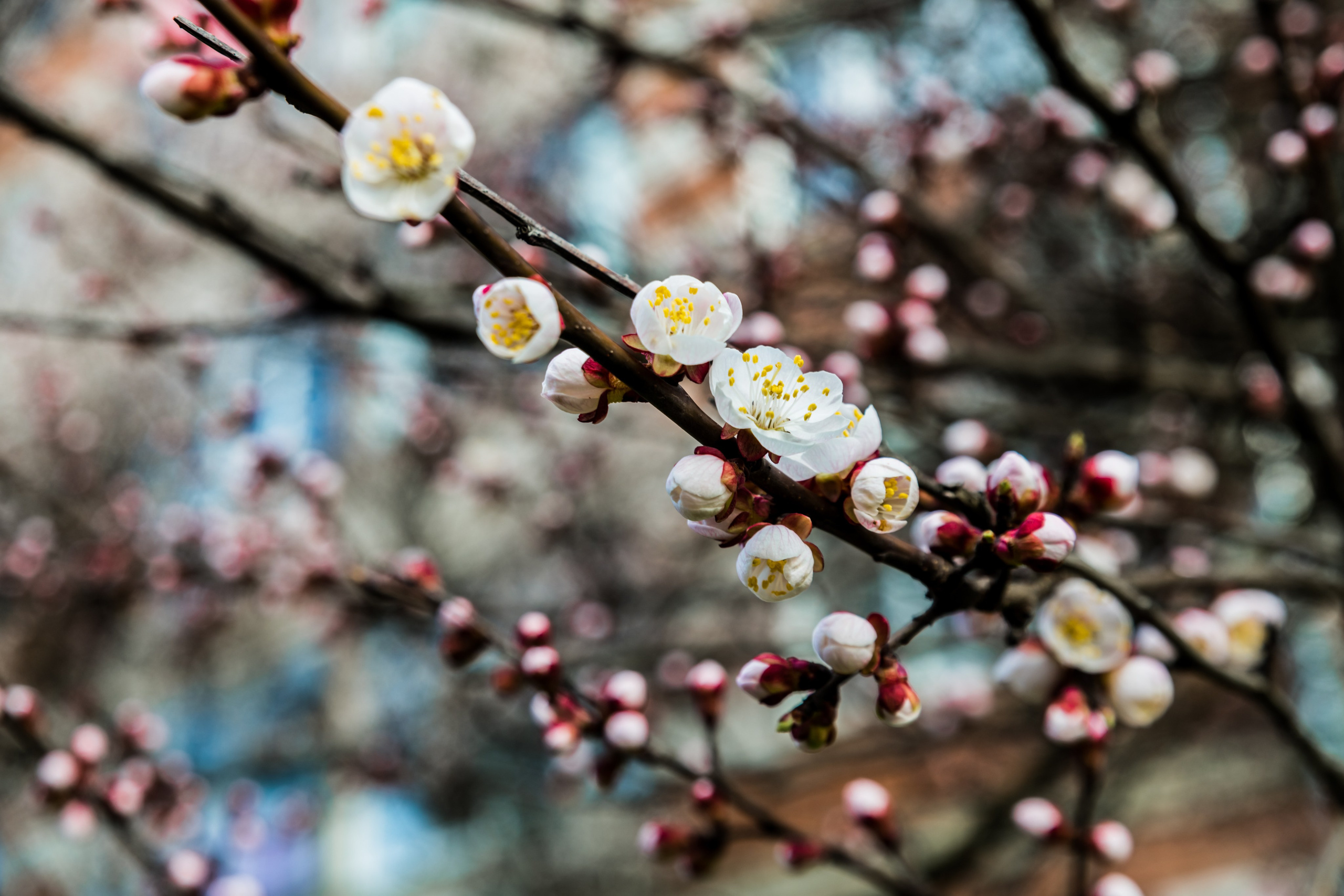 Предметная фото и видео съемка. Арт студия «Пегас». Фото- и видео- съемка