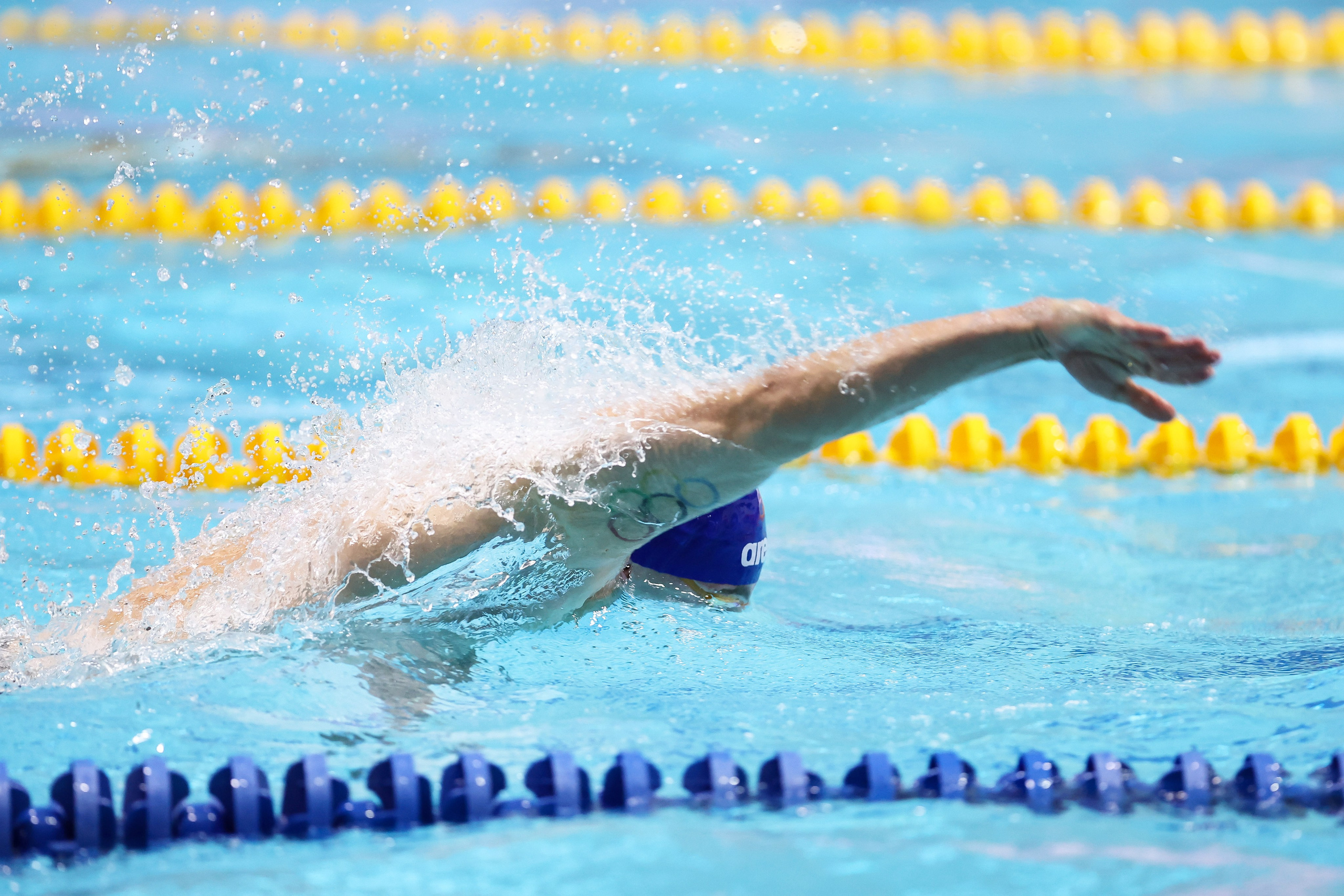 Чемпионат России по плаванию 25 м 20-25.11.2023. Спортивный и репортажный фотограф Антон Тереханов