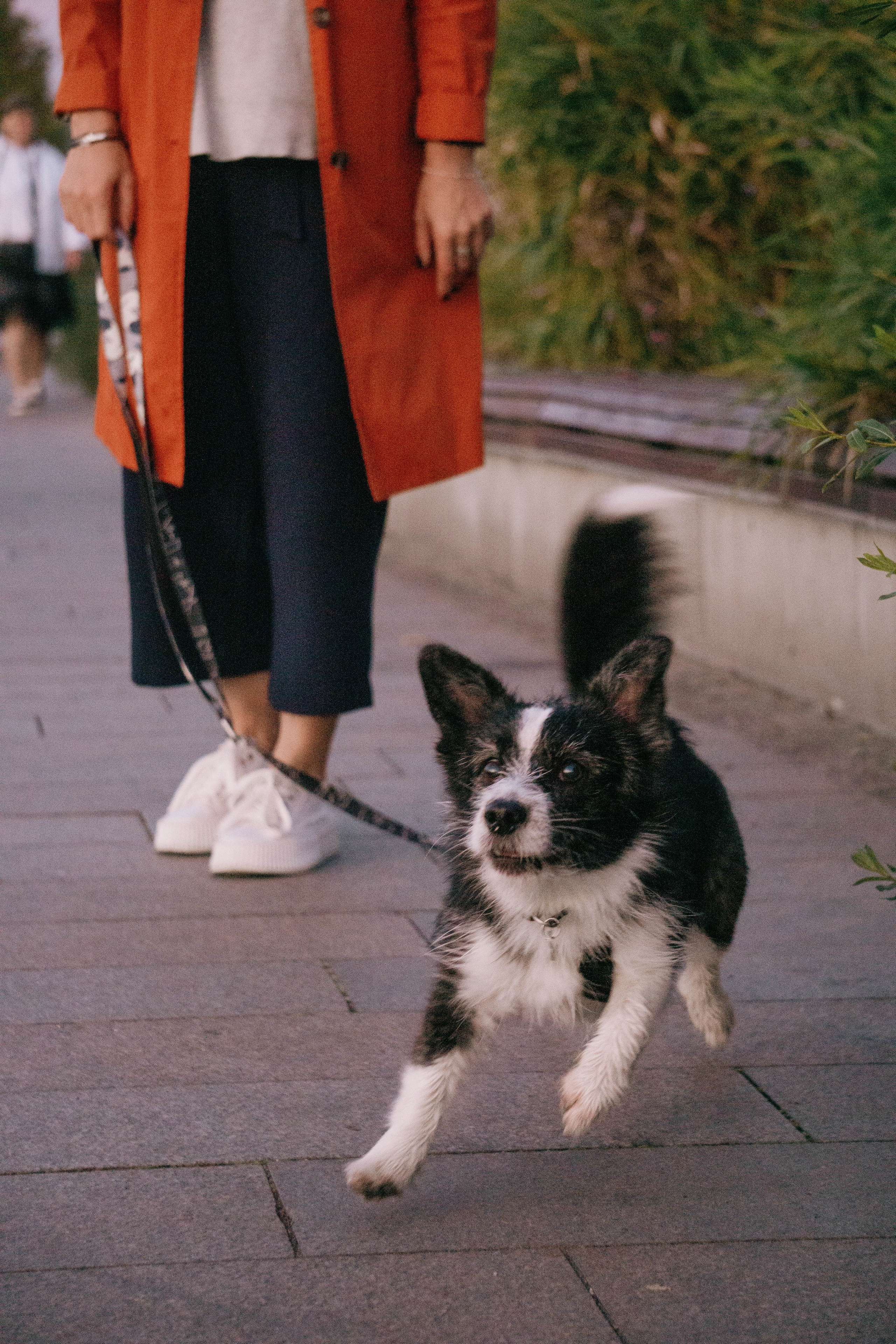 Даша и Тюбик. Фотограф-анималист Ксения Воробьева, Москва