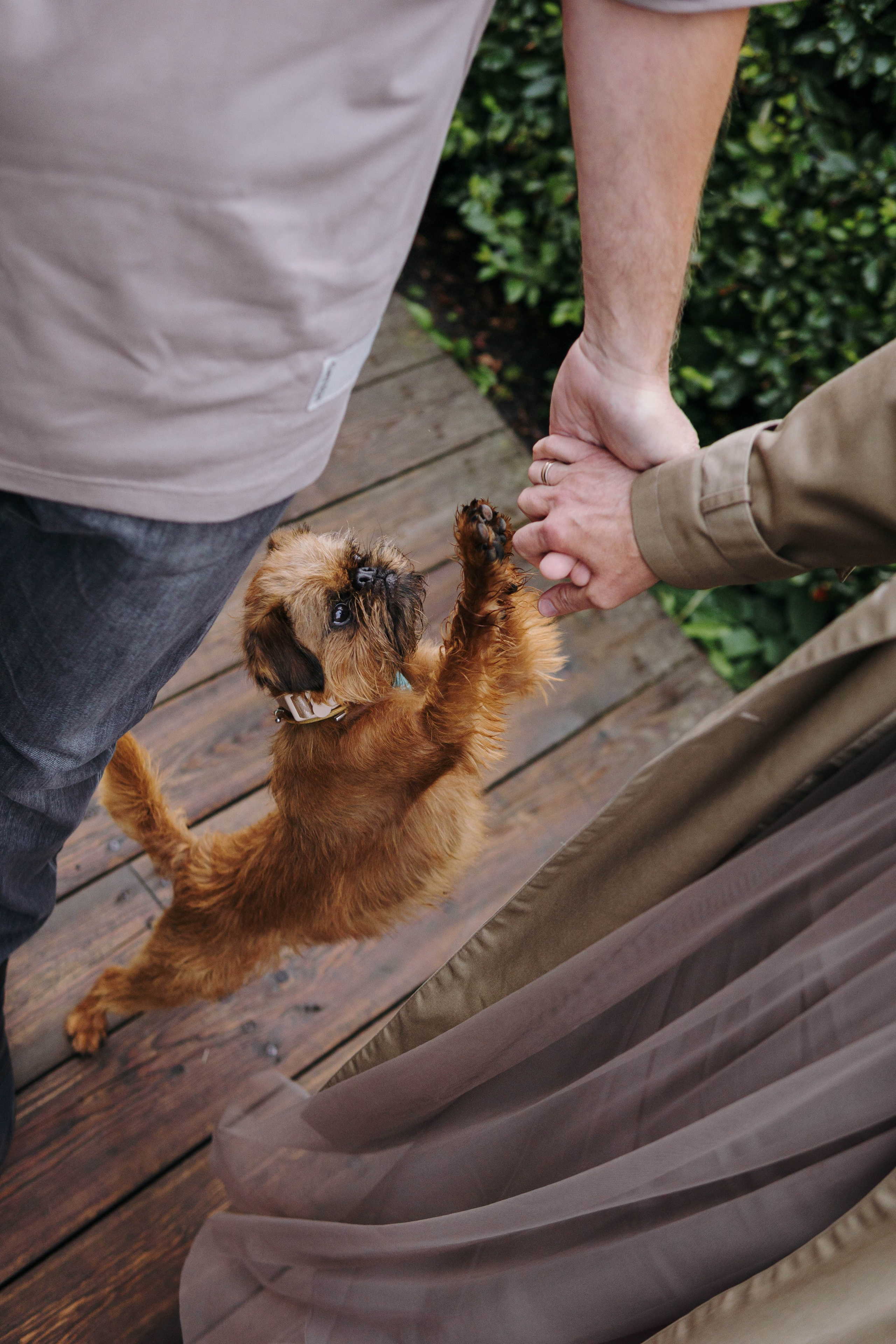 Наташа, Сережа и Хавьер. Фотограф-анималист Ксения Воробьева, Москва