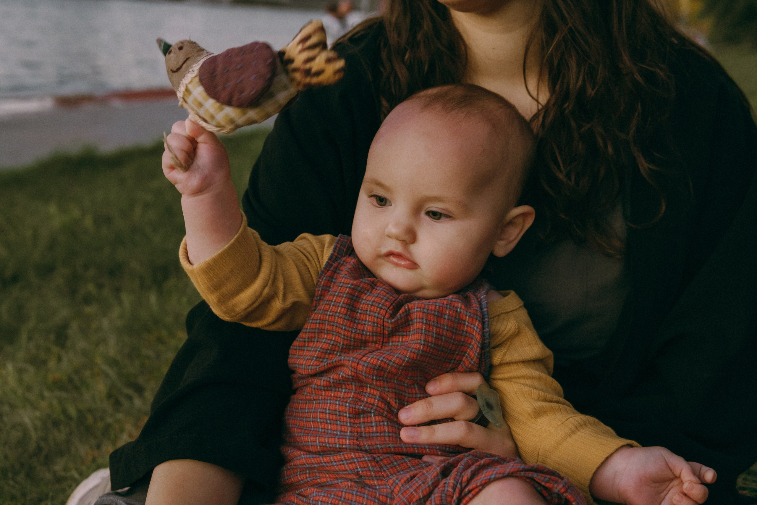 Маша и Мирра. Фотограф-анималист Ксения Воробьева, Москва