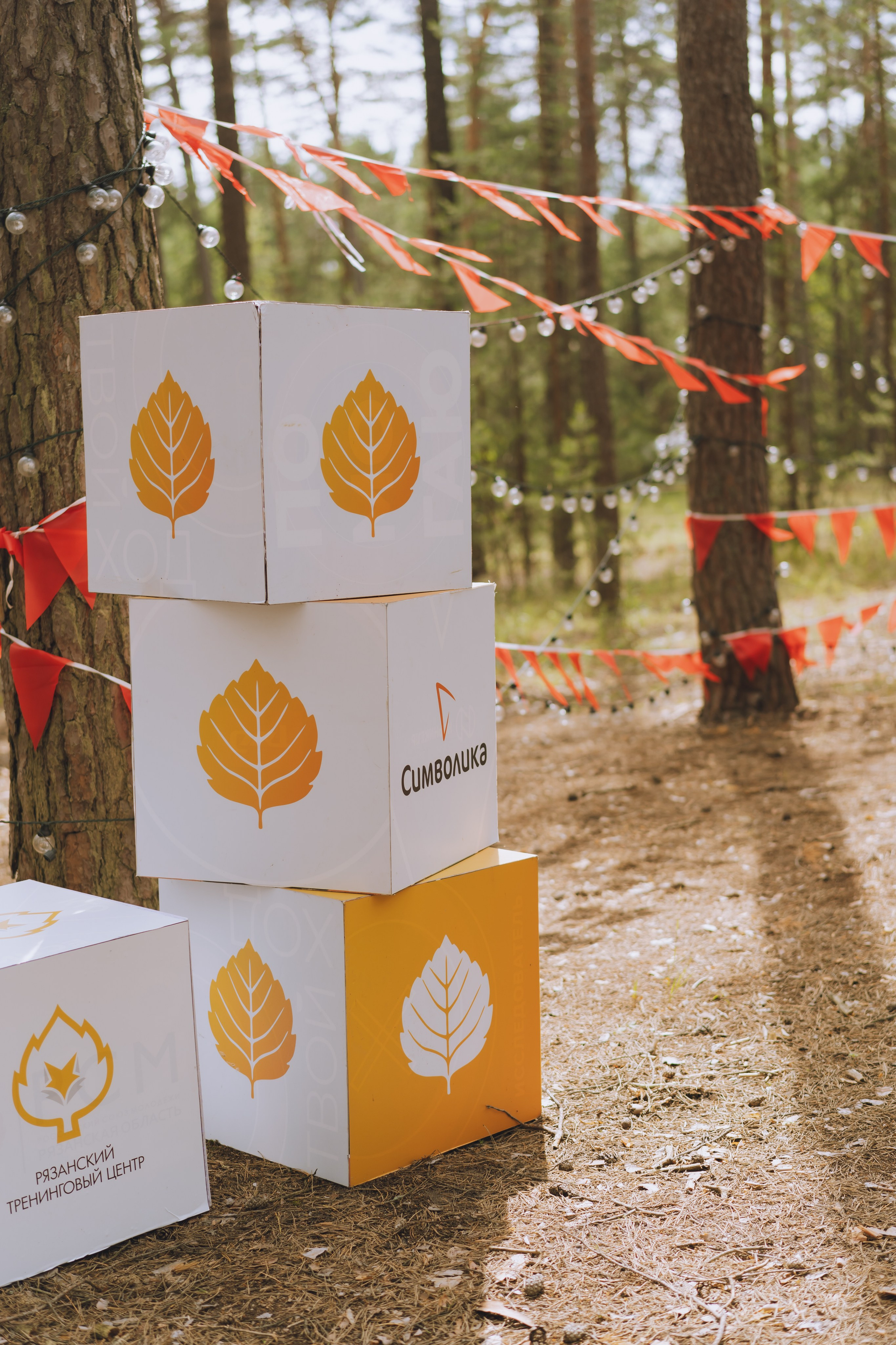 Палаточный форум CAMPot 2025. Фотограф Надежда Погребняк | Рязань | Москва