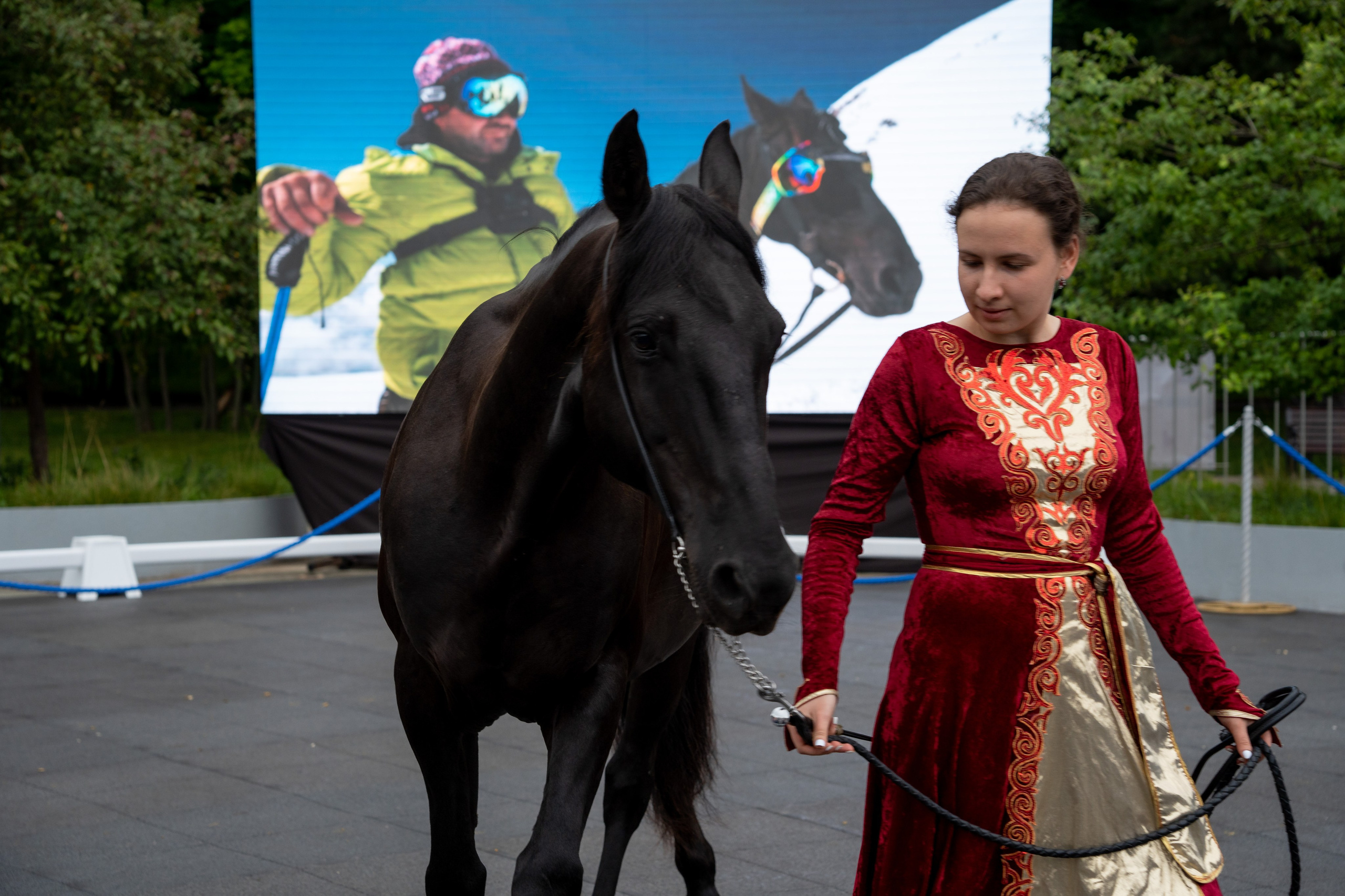 Животные. Фото, видео, монтаж