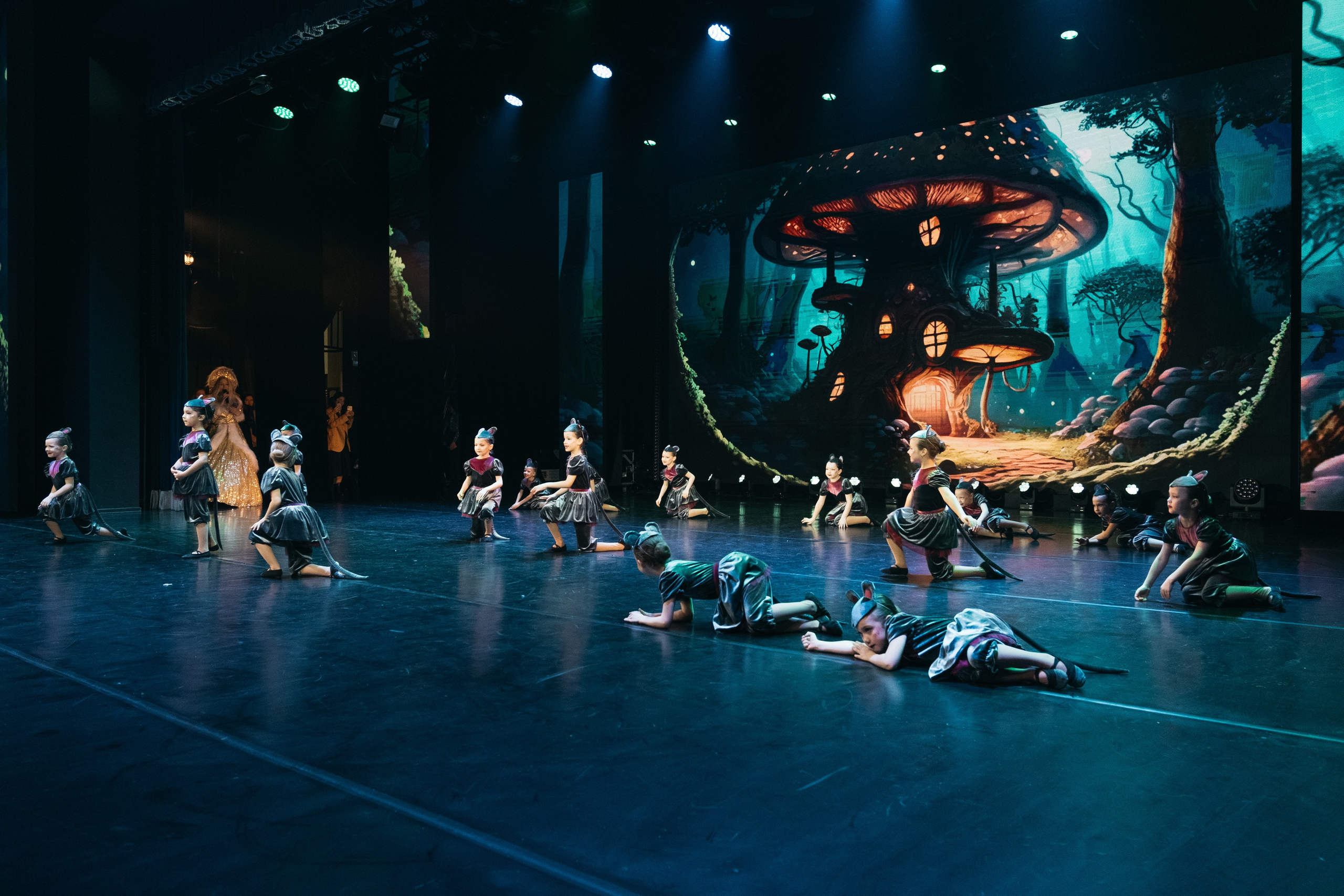 СурГУ 23.12.23. Репортажный и свадебный фотограф в Сургуте