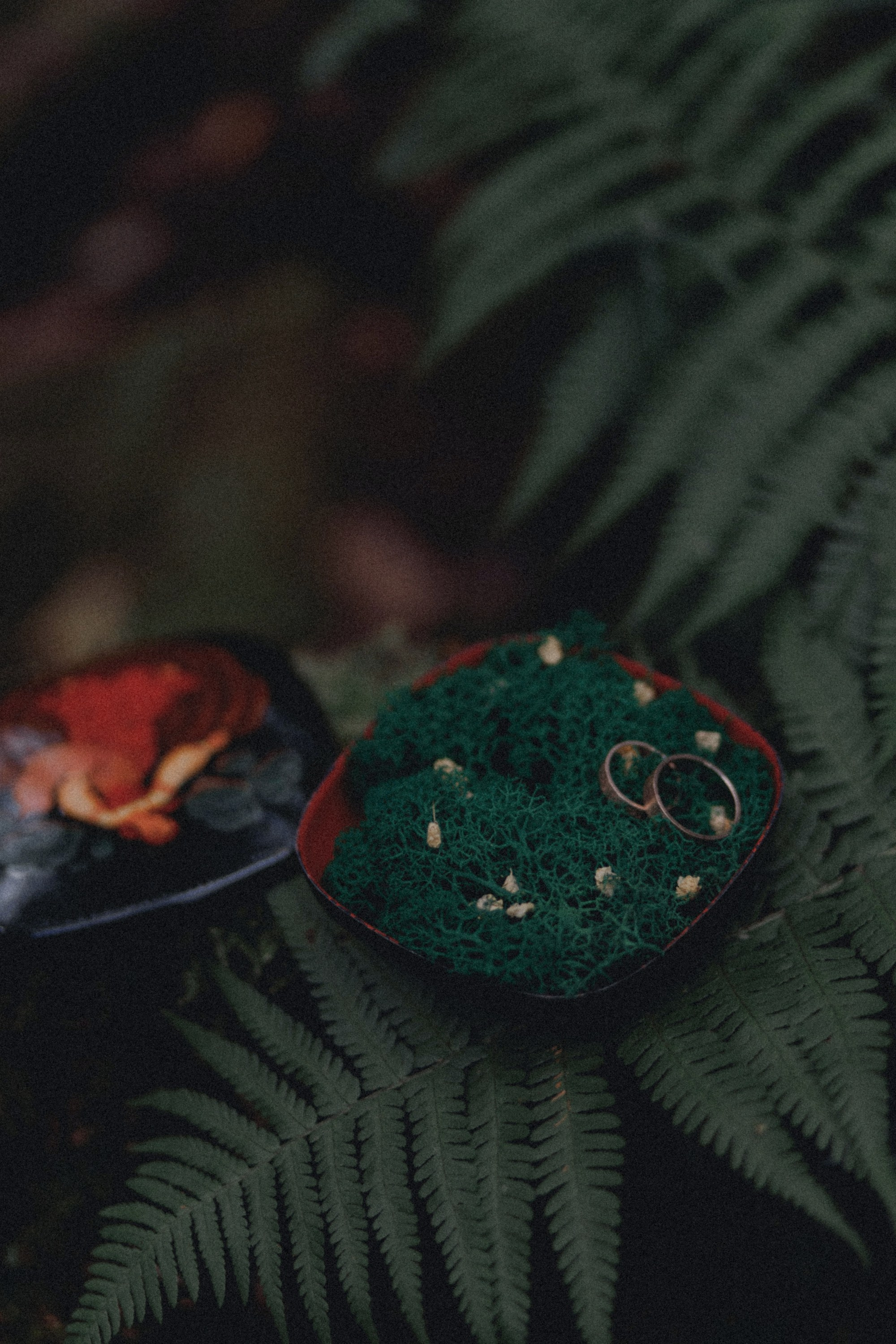 Оля и Коля. Фотограф Павел Михеев