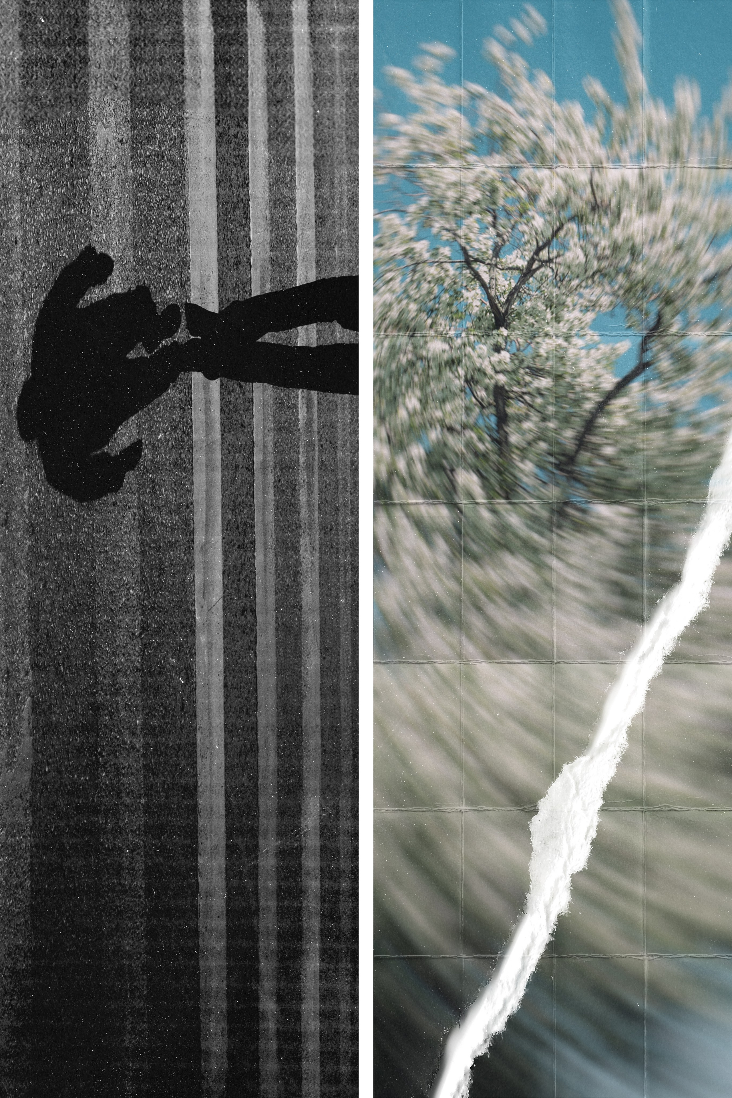 Artwork. Фотограф Ваня Бархатов