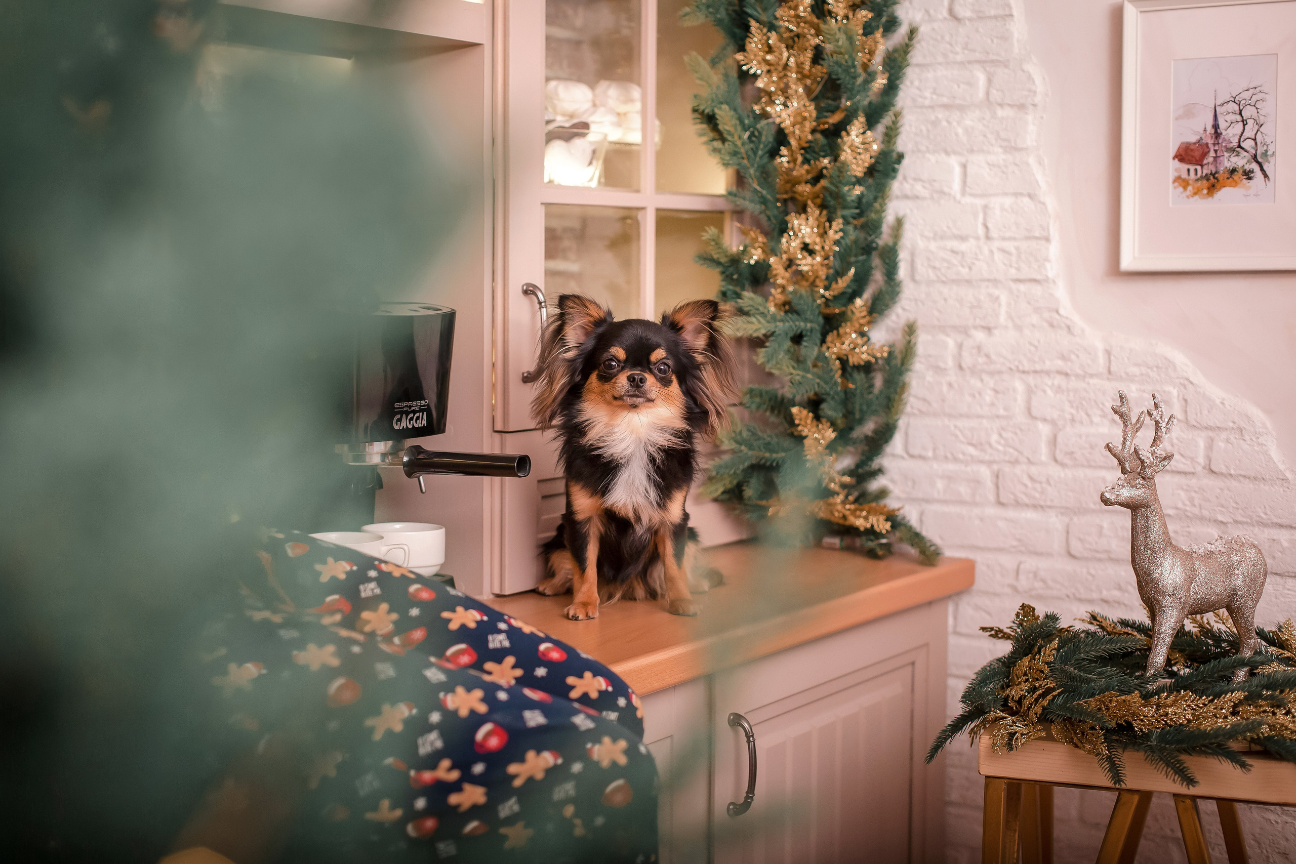 Фотосессия «Человек и собака». Фотограф-анималист в Краснодаре Маша Мельникова