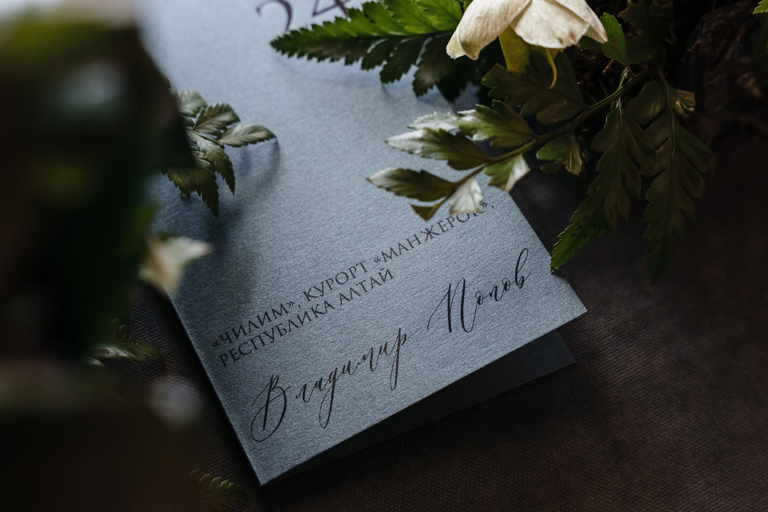 Частное мероприятие в Манжероке. Фотограф Кирилл Бабий