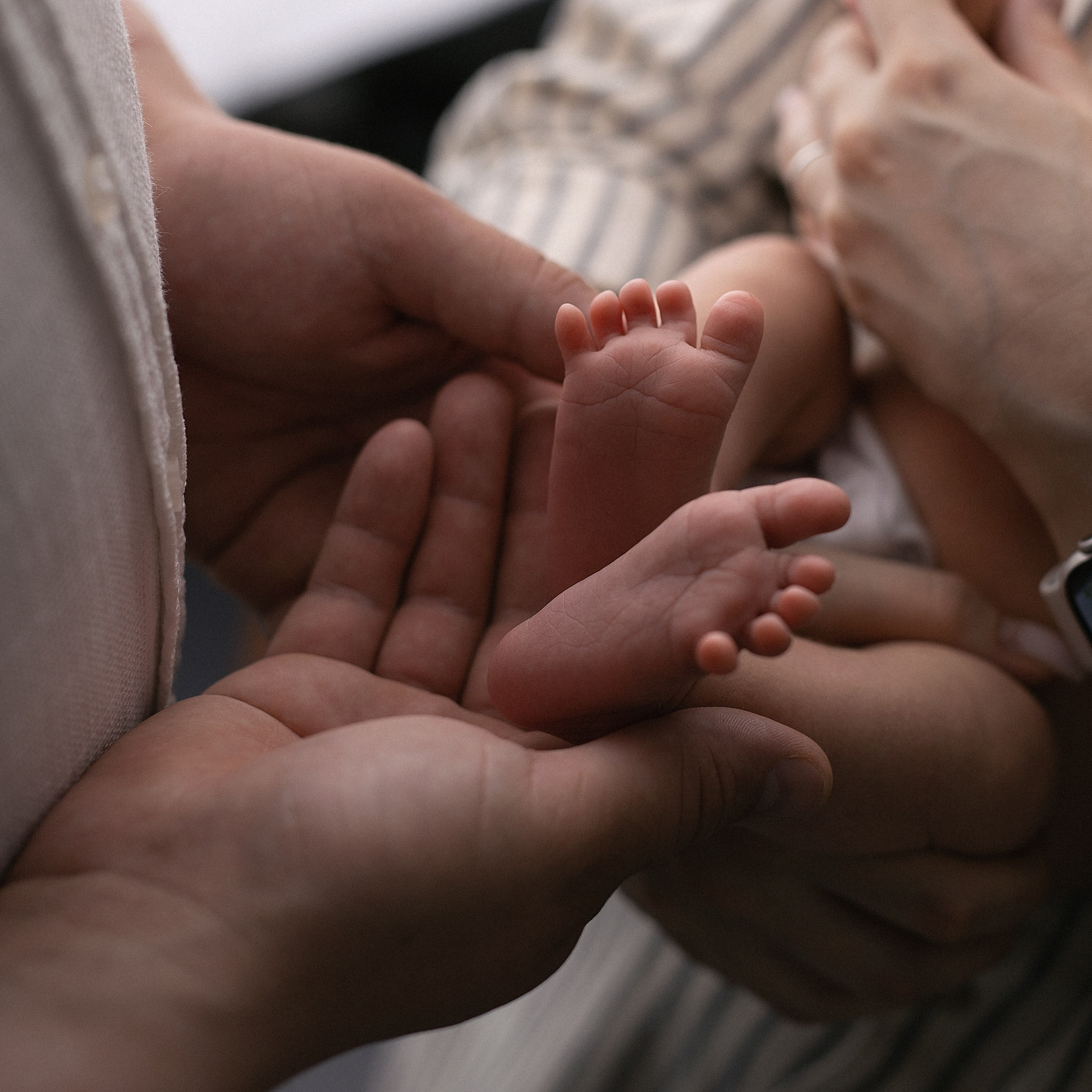 Новорожденные. Фотограф в Перми Anastasia Aone