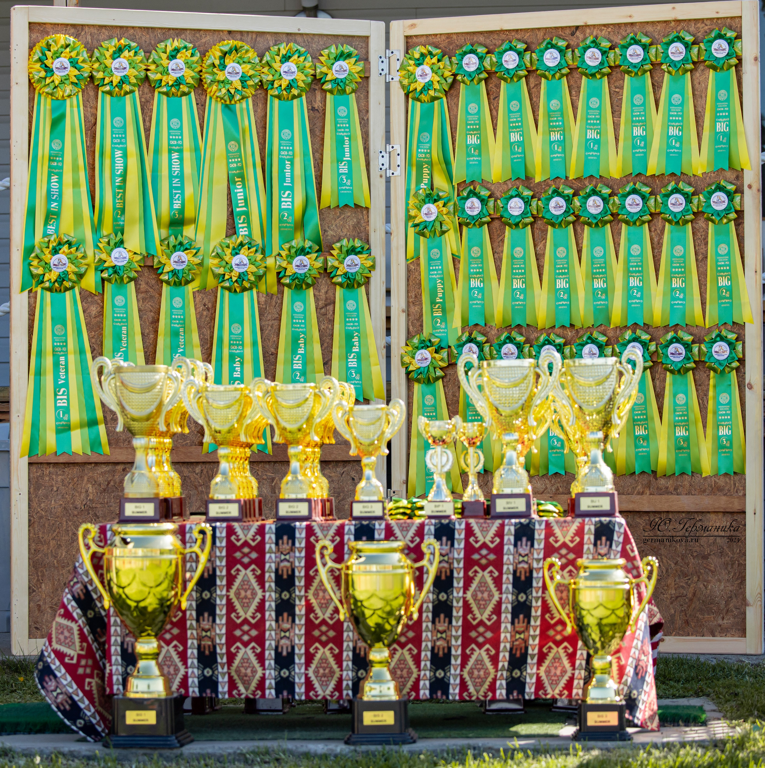 Ереван 3-5.06.2024. Фотограф-анималист Юлия Германика